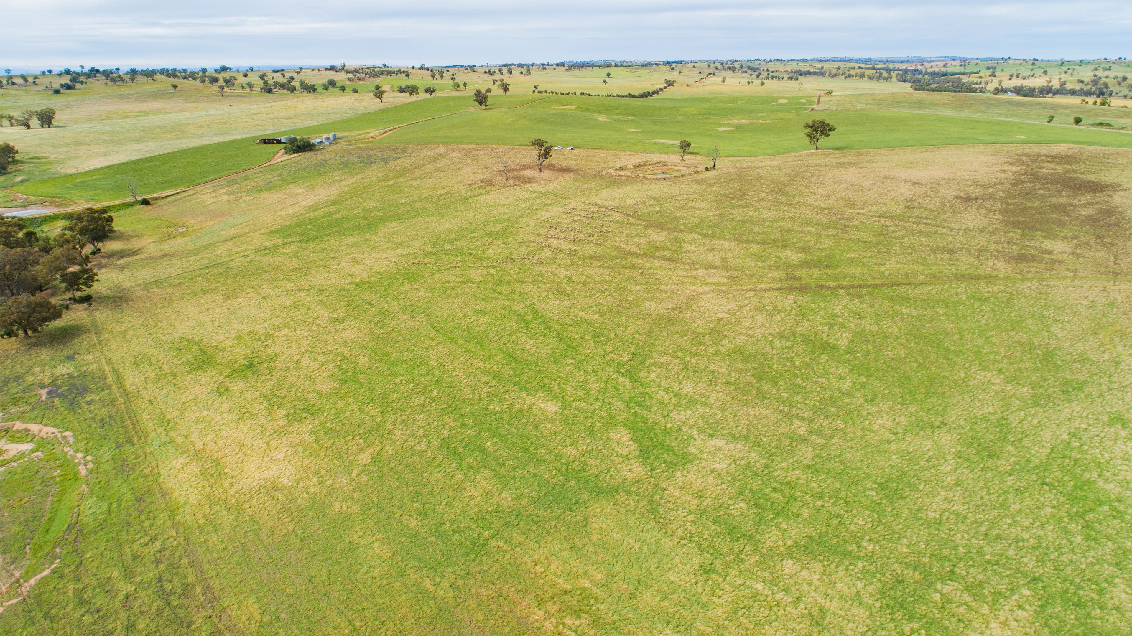 5919 Gundagai Road, Junee NSW 2663, Junee - Thumbnail 5