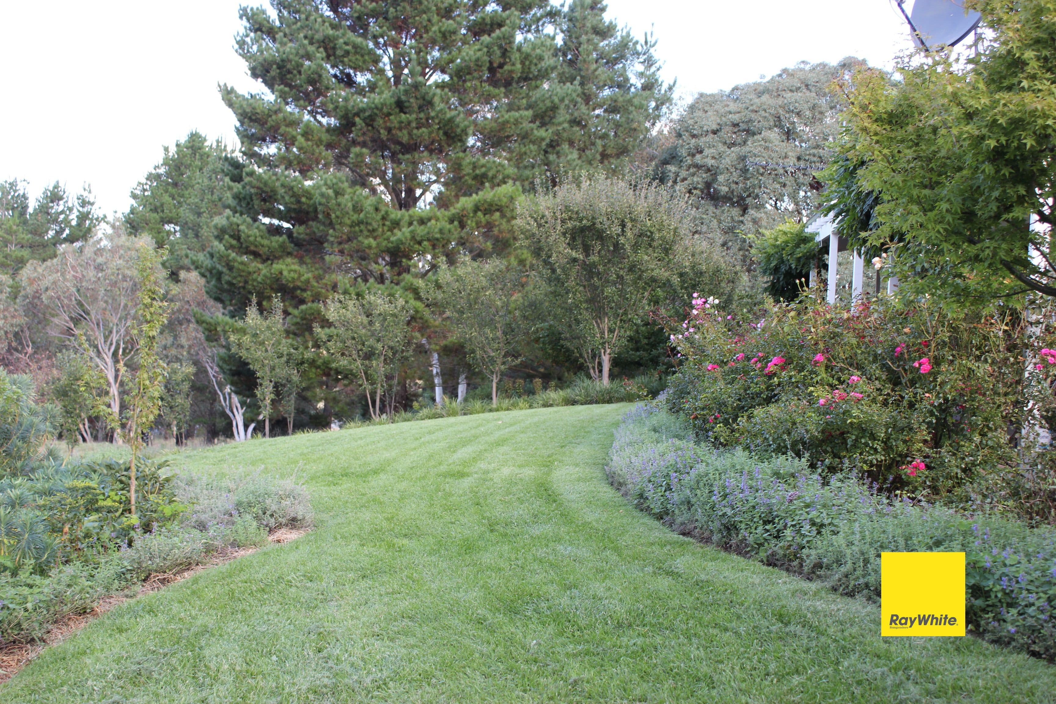 1454 Captains Flat Road, Carwoola NSW 2620, Carwoola - Thumbnail 6