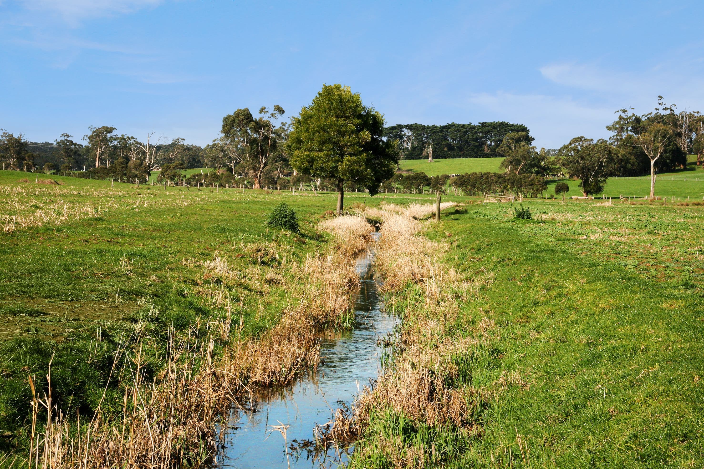Drouin South VIC 3818, Drouin South - Thumbnail 8