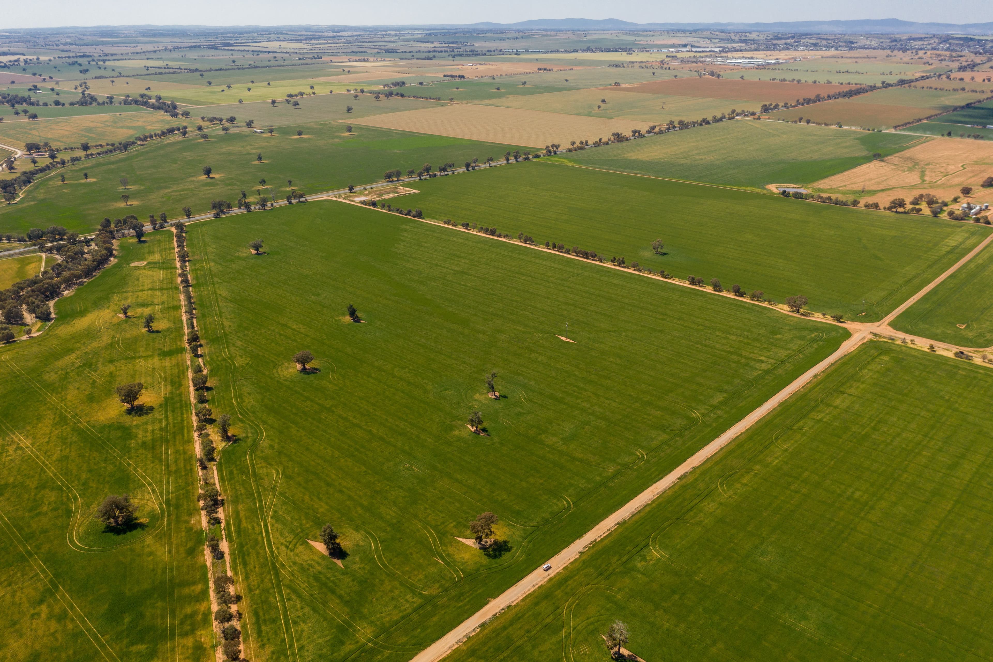 Junee NSW 2663, Junee - Thumbnail 7