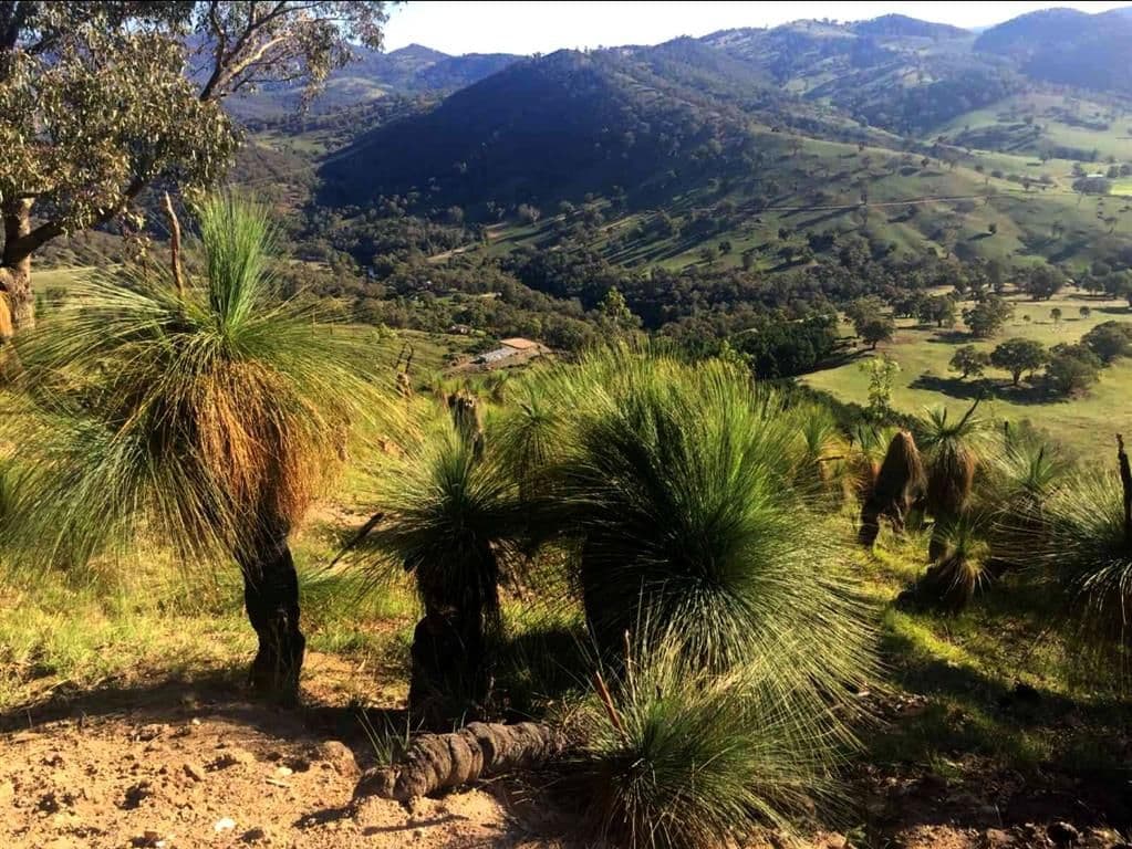 483 Goobarragandra Road, Tumut NSW 2720, Tumut - Thumbnail 5