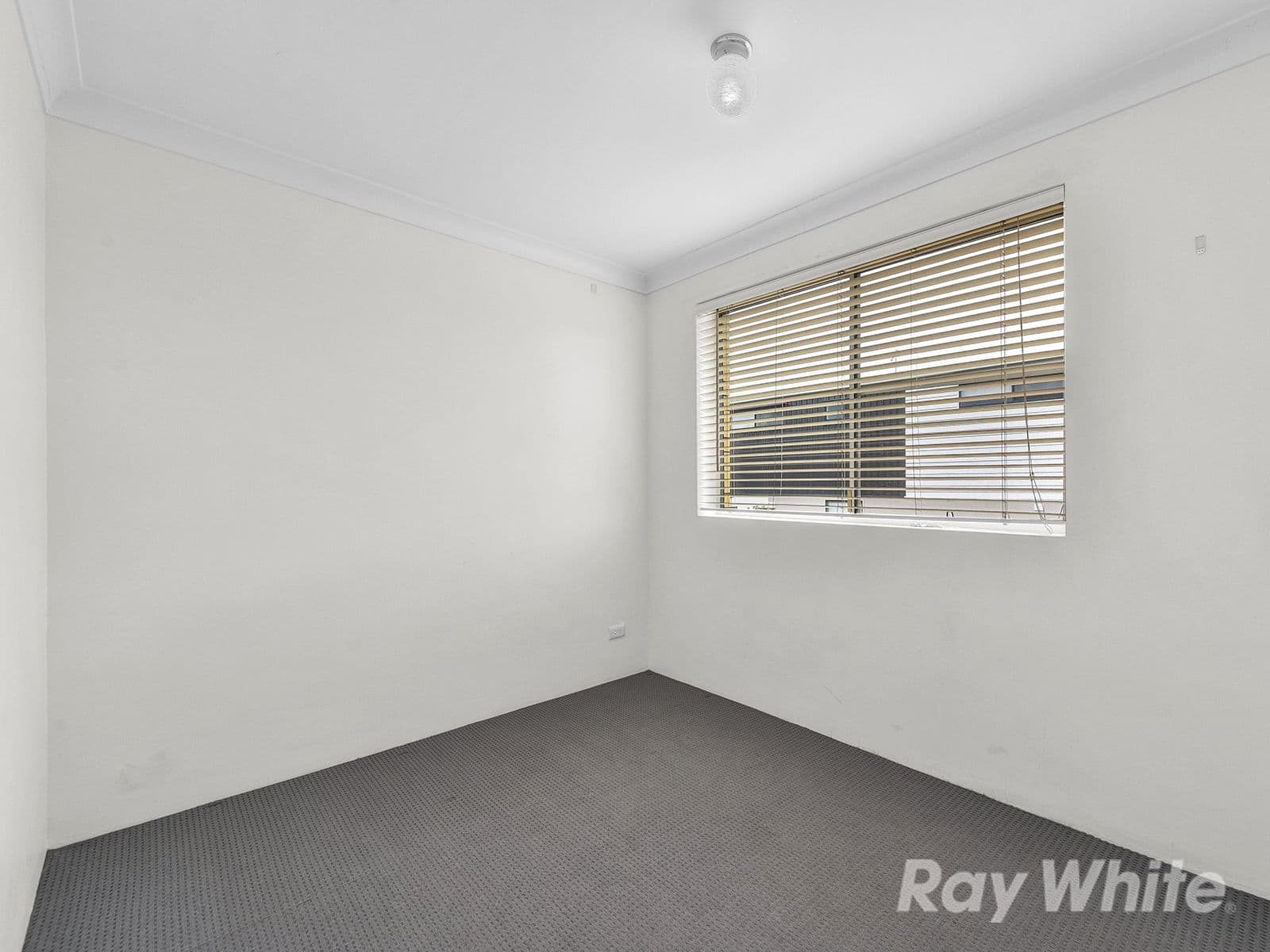 22 Wooloowin Avenue, Wooloowin QLD 4030, Wooloowin - Thumbnail 8