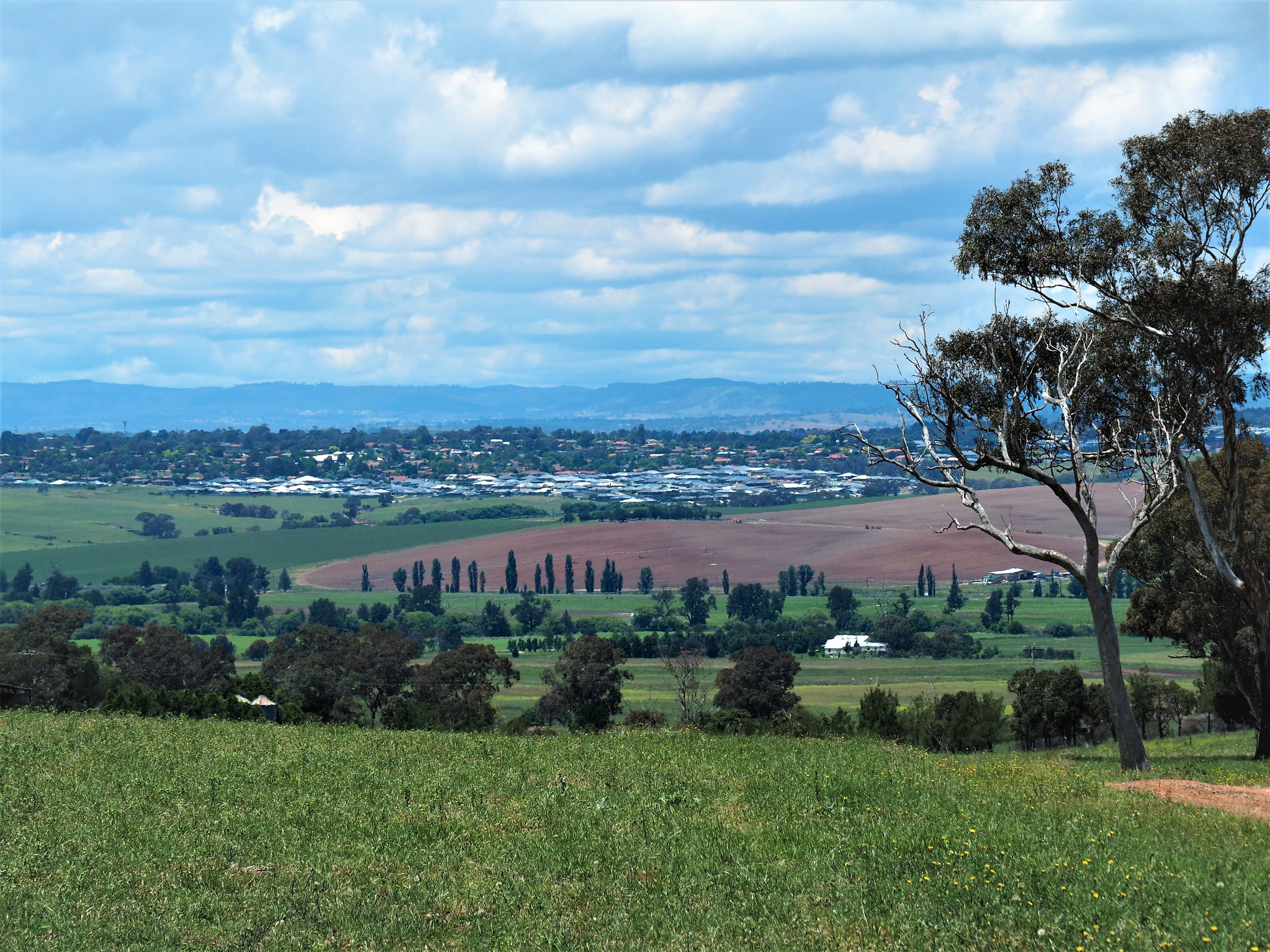 Bathurst NSW 2795, Bathurst - Thumbnail 8