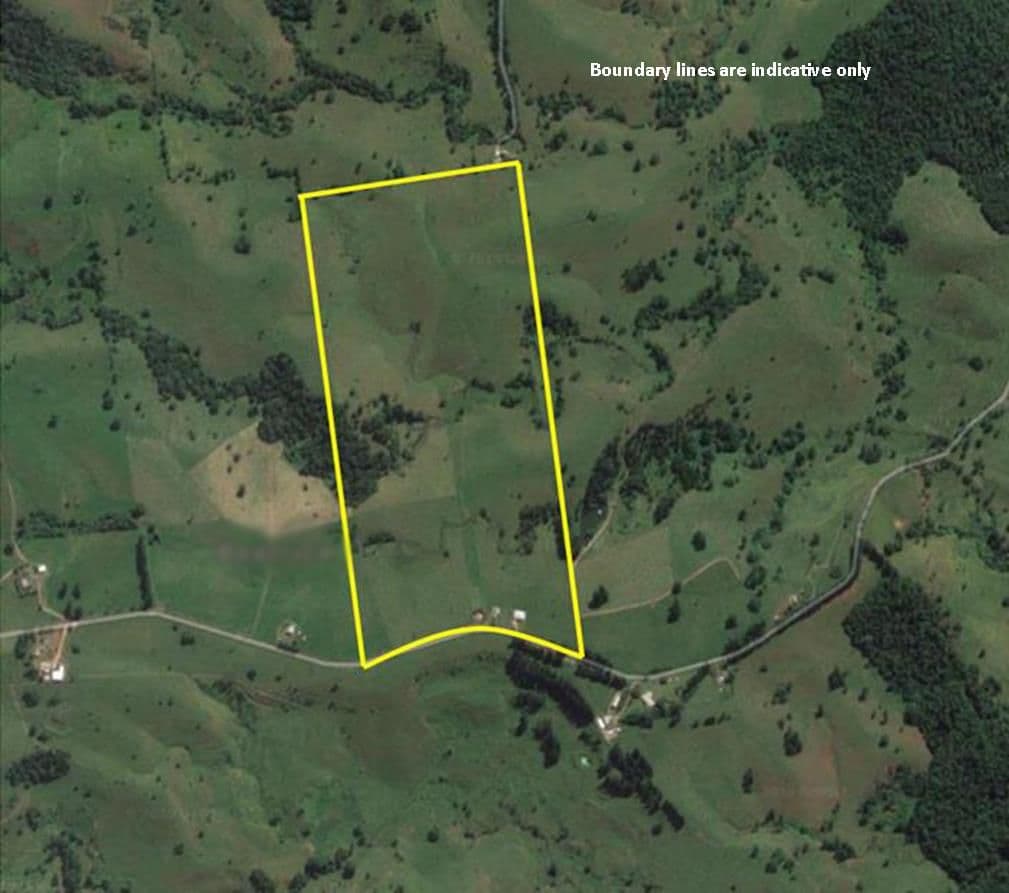 210 Pheasant Road, Millaa Millaa QLD 4886, Millaa Millaa - Thumbnail 2