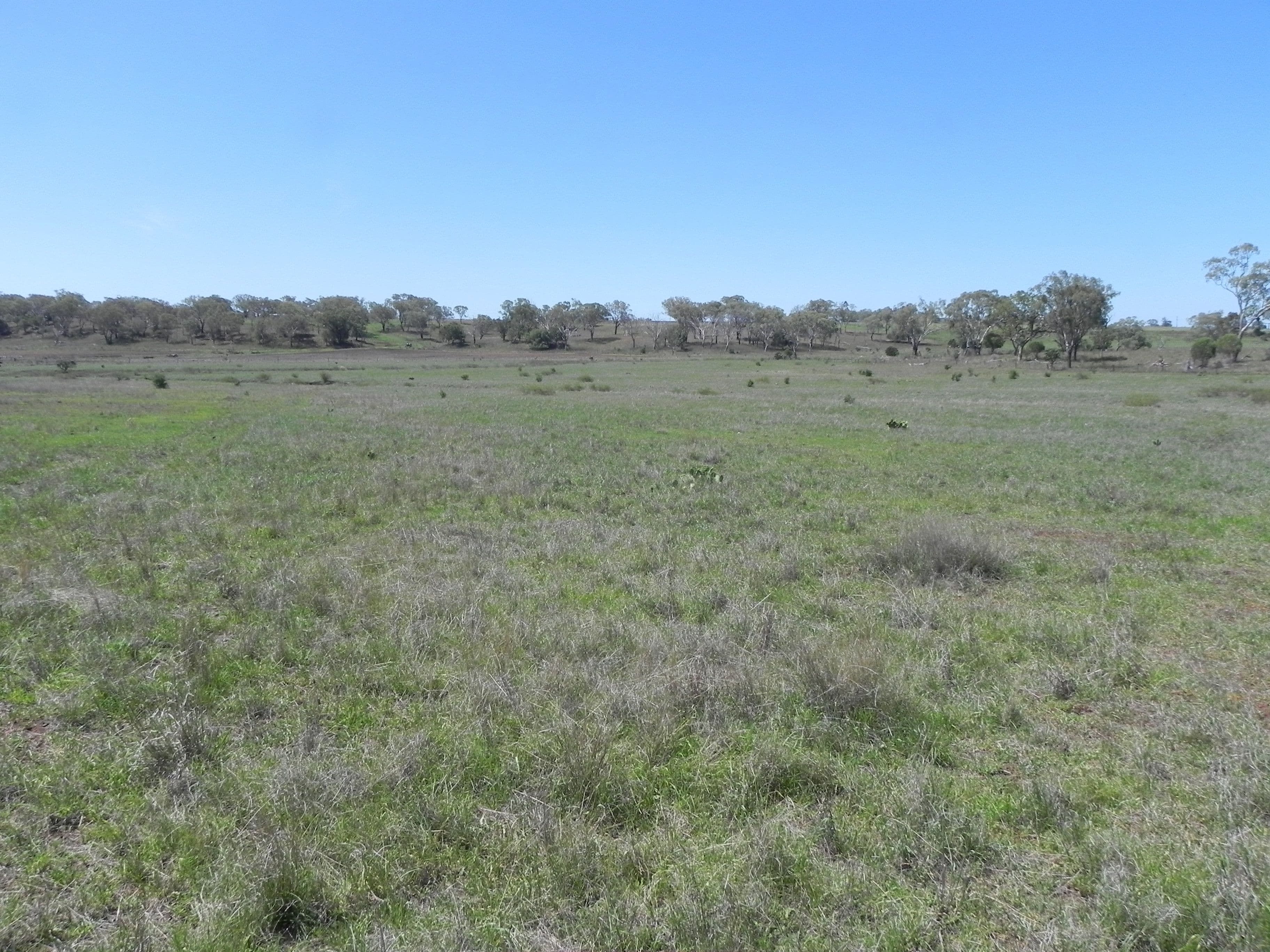 0 F Drews Road, Biddeston QLD 4401, Biddeston - Thumbnail 3