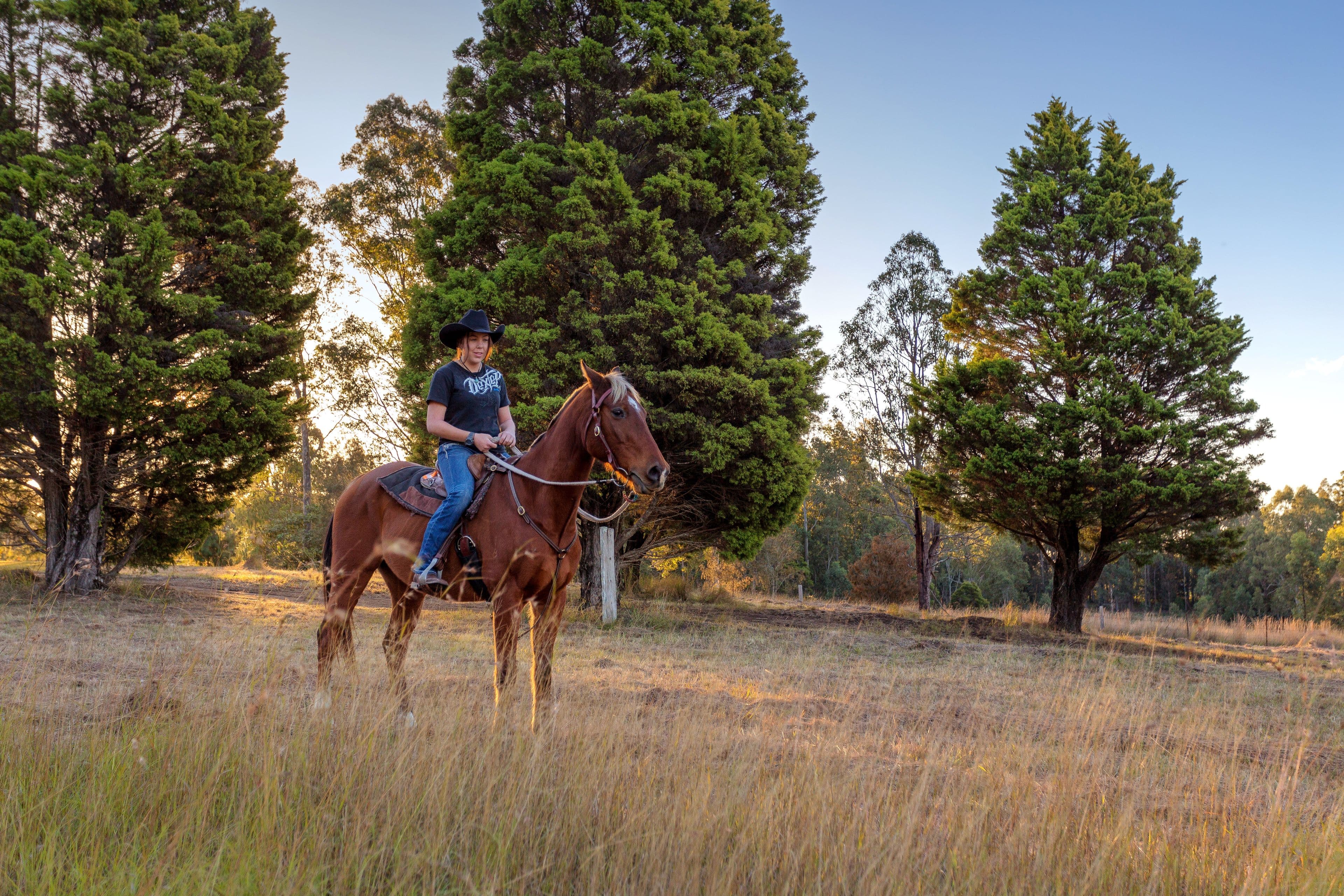 423 Cedar Party Road, Wingham NSW 2429, Wingham - Thumbnail 4