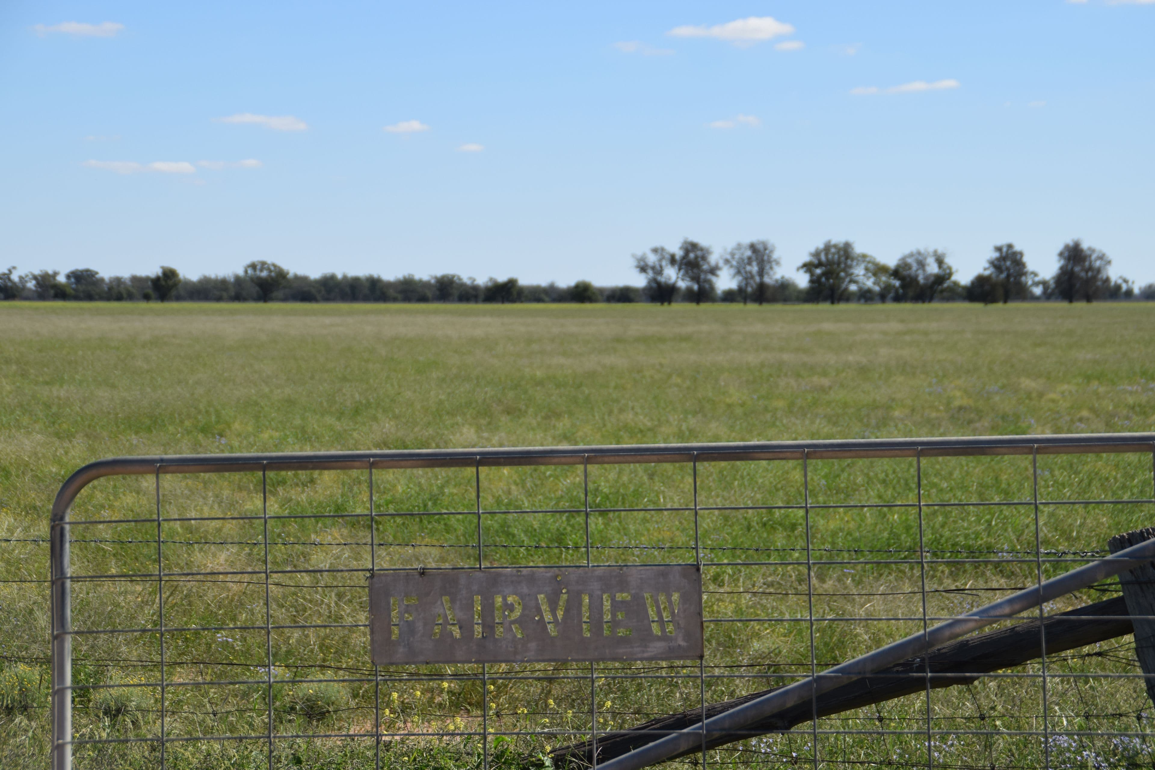 'Fairview' 339 Wyuna Road, Curban NSW 2827, Curban - Image 1