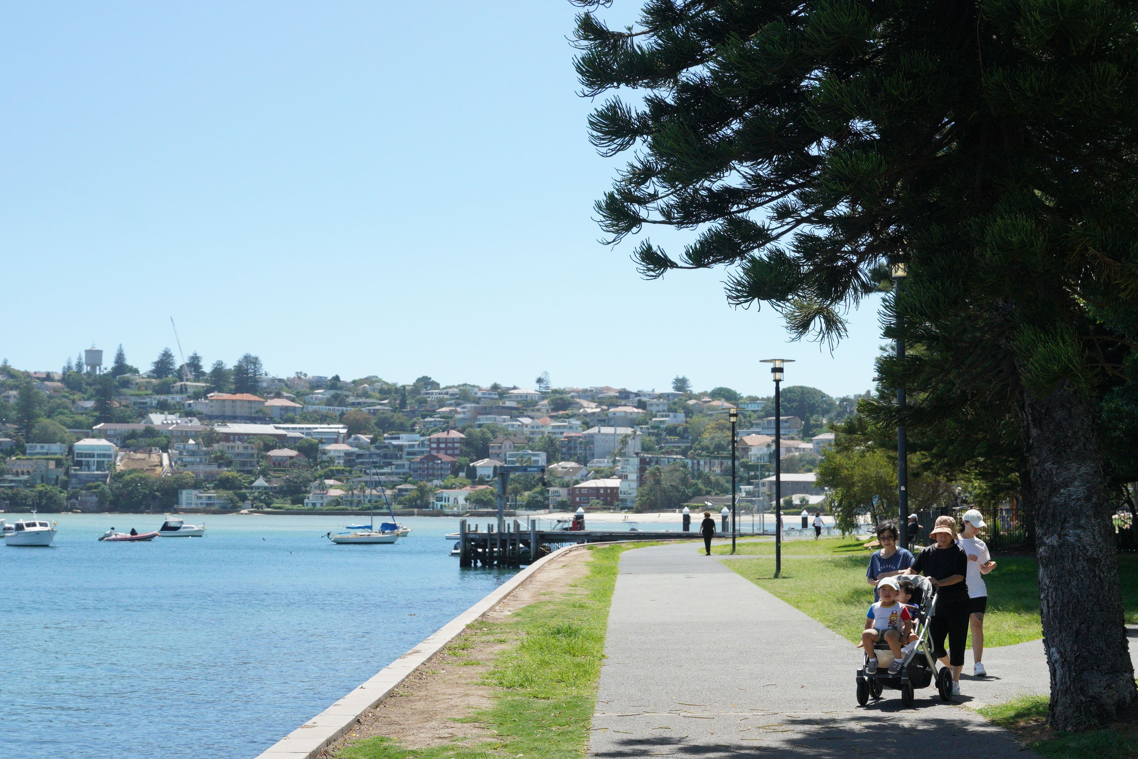 56 Chaleyer Street, Rose Bay NSW 2029, Rose Bay - Thumbnail 8