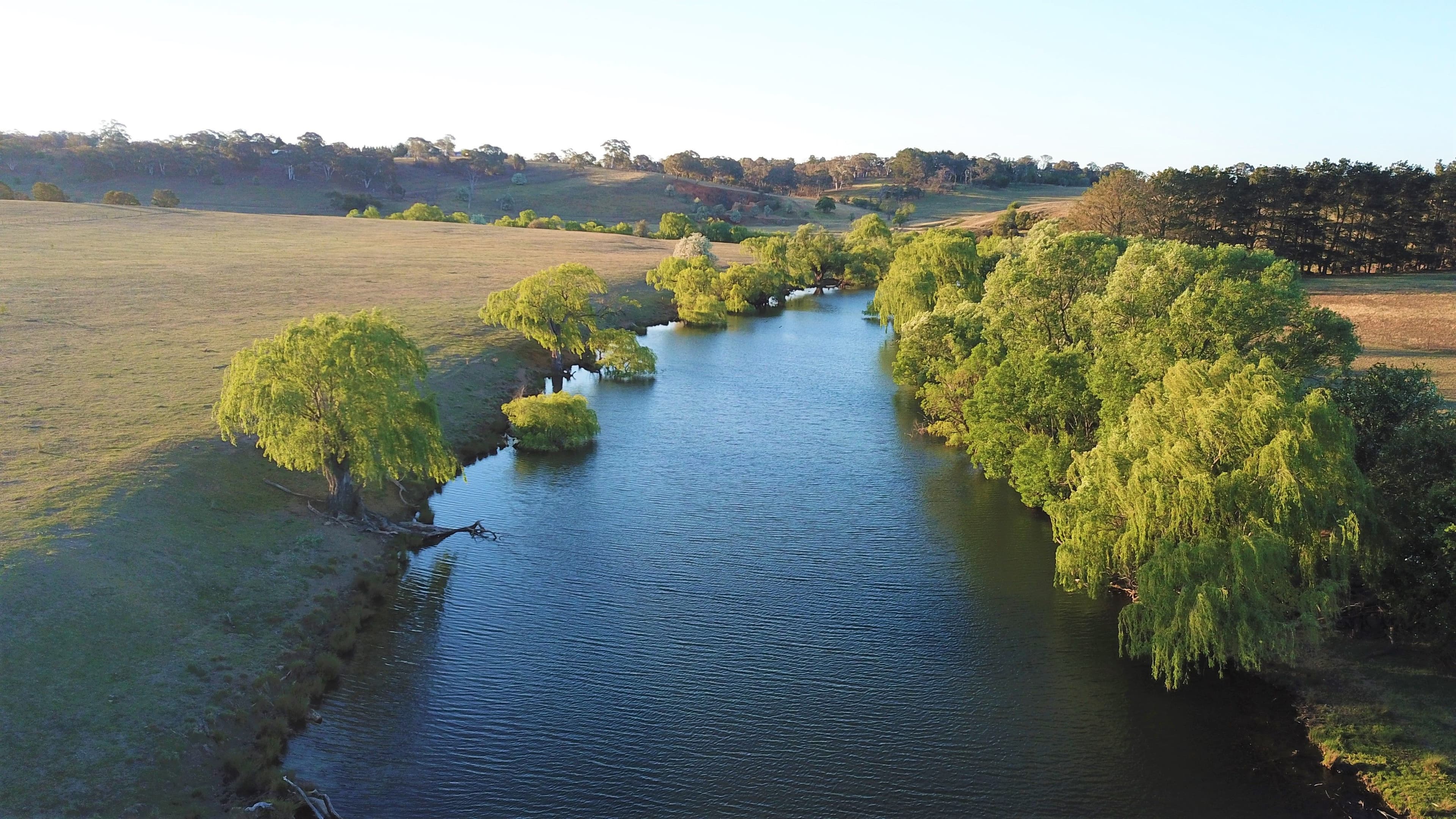 317 Gurrundah Road, Goulburn NSW 2580, Goulburn - Thumbnail 4