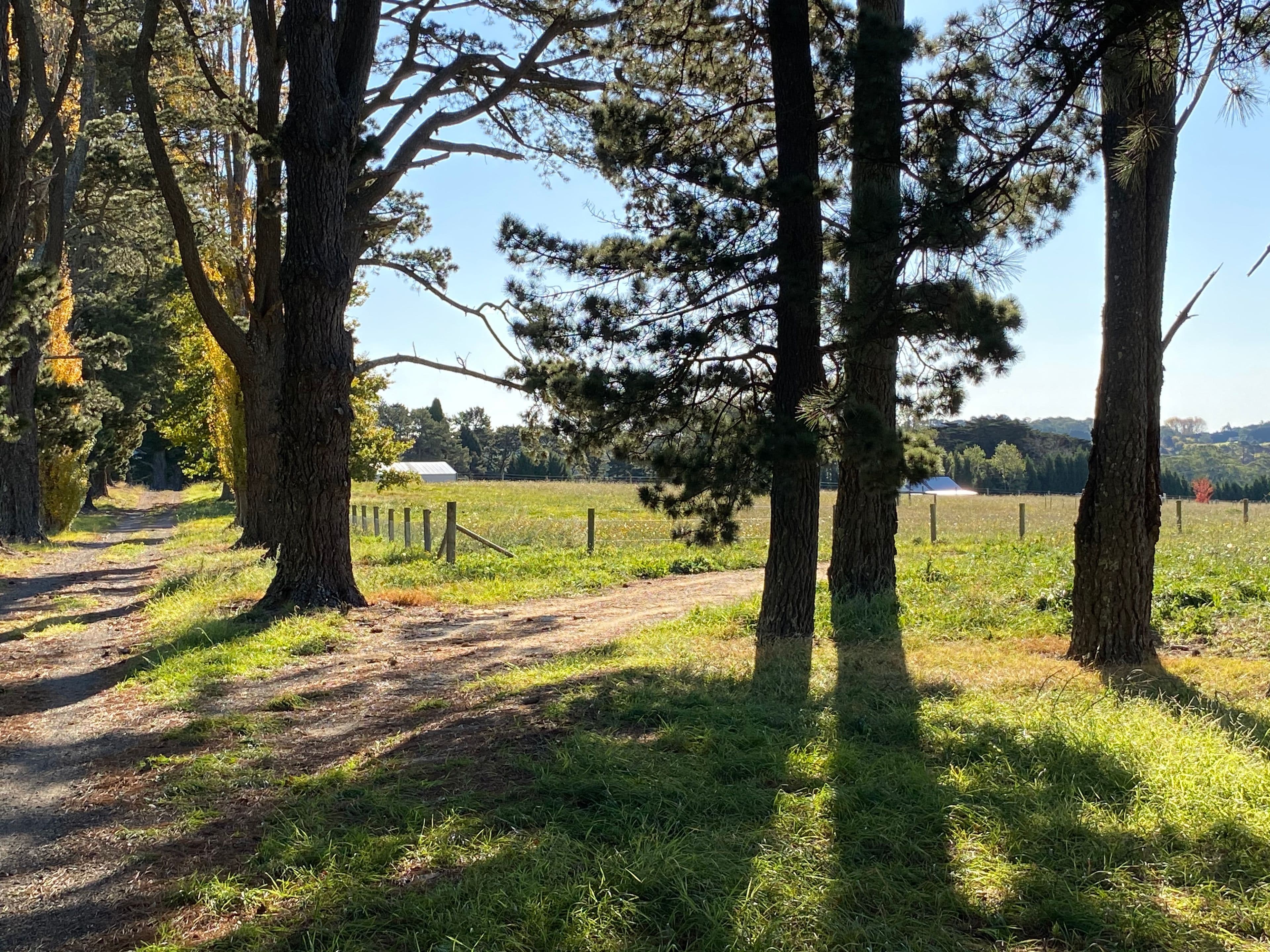 236 Bundanoon Road, Exeter NSW 2579, Exeter - Thumbnail 5