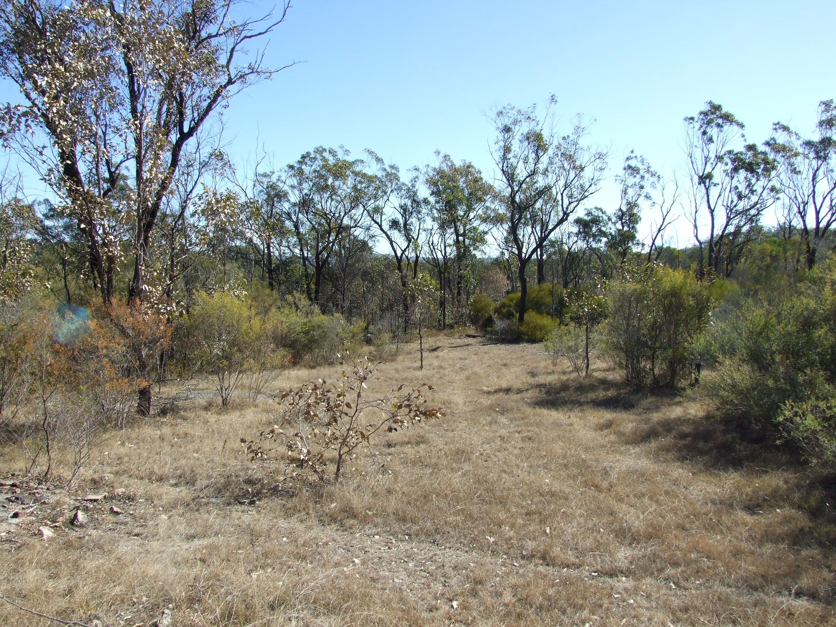 0 Three Mile Road, Crows Nest QLD 4355, Crows Nest - Thumbnail 4