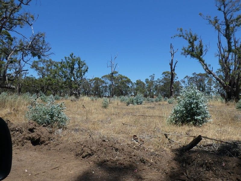 Lot 8 Rocky Gully Road, Rocky Gully WA 6397, Rocky Gully - Thumbnail 8