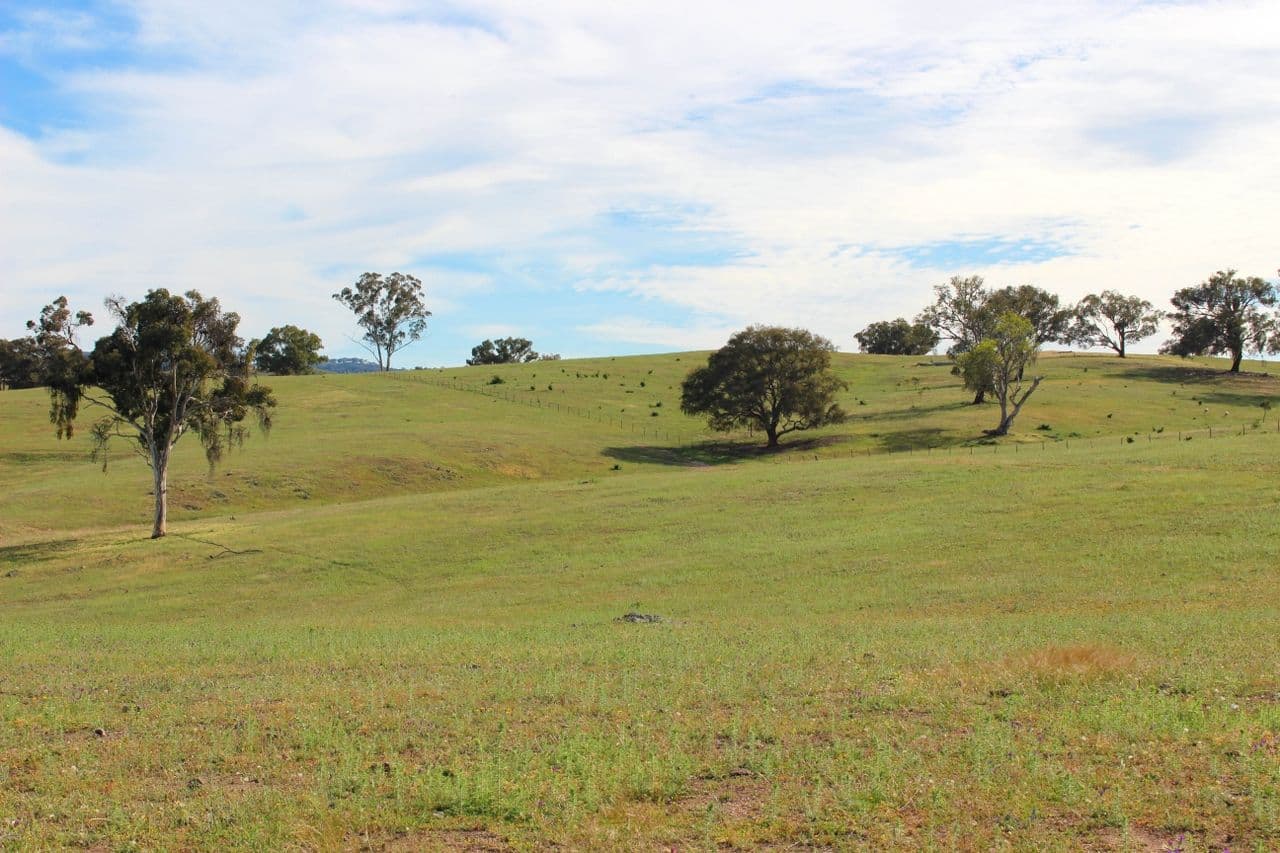 2529 Sofala Road, Bathurst NSW 2795, Bathurst - Thumbnail 2