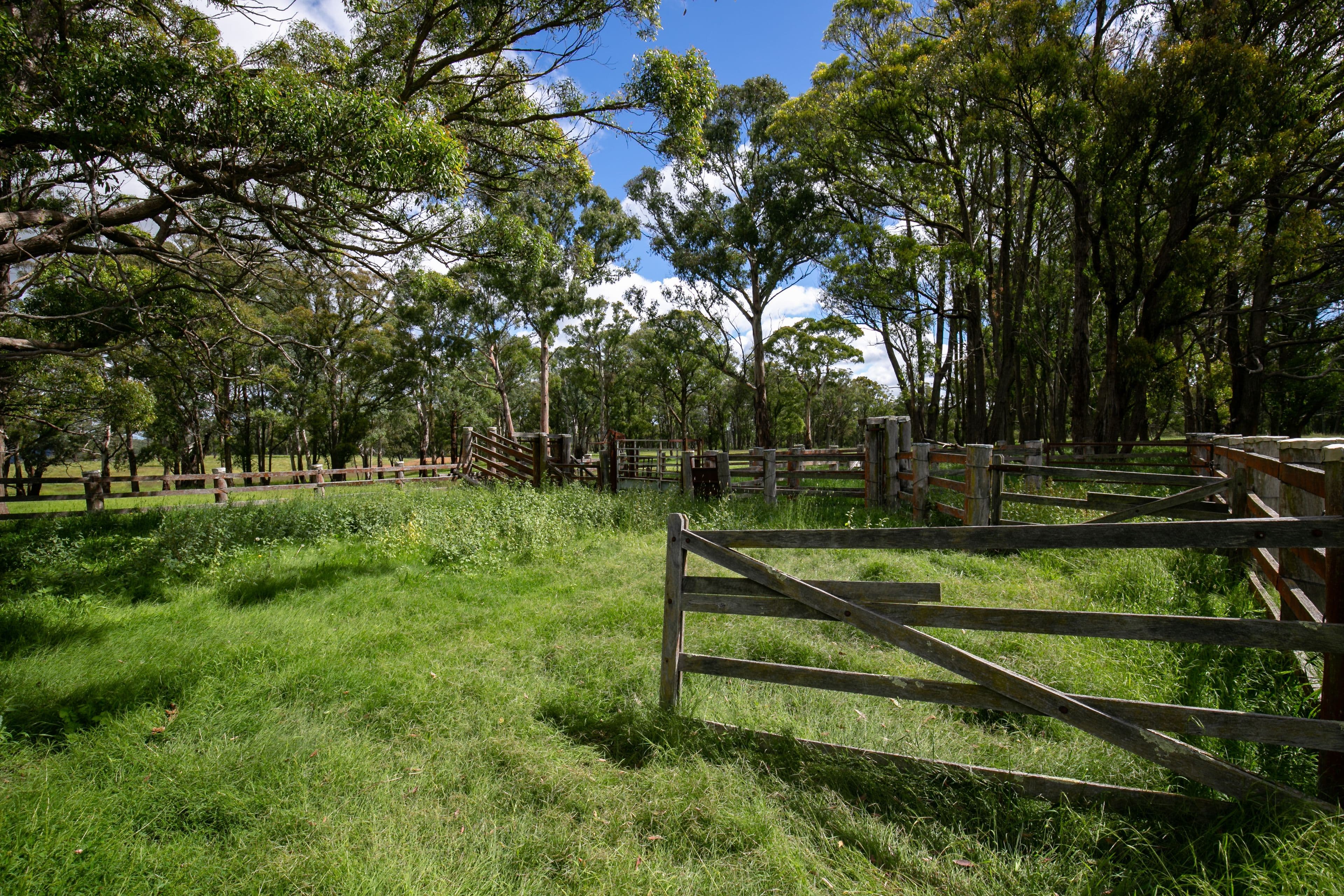 135 Thorpes Lane, Black Mountain NSW 2365, Black Mountain - Thumbnail 7
