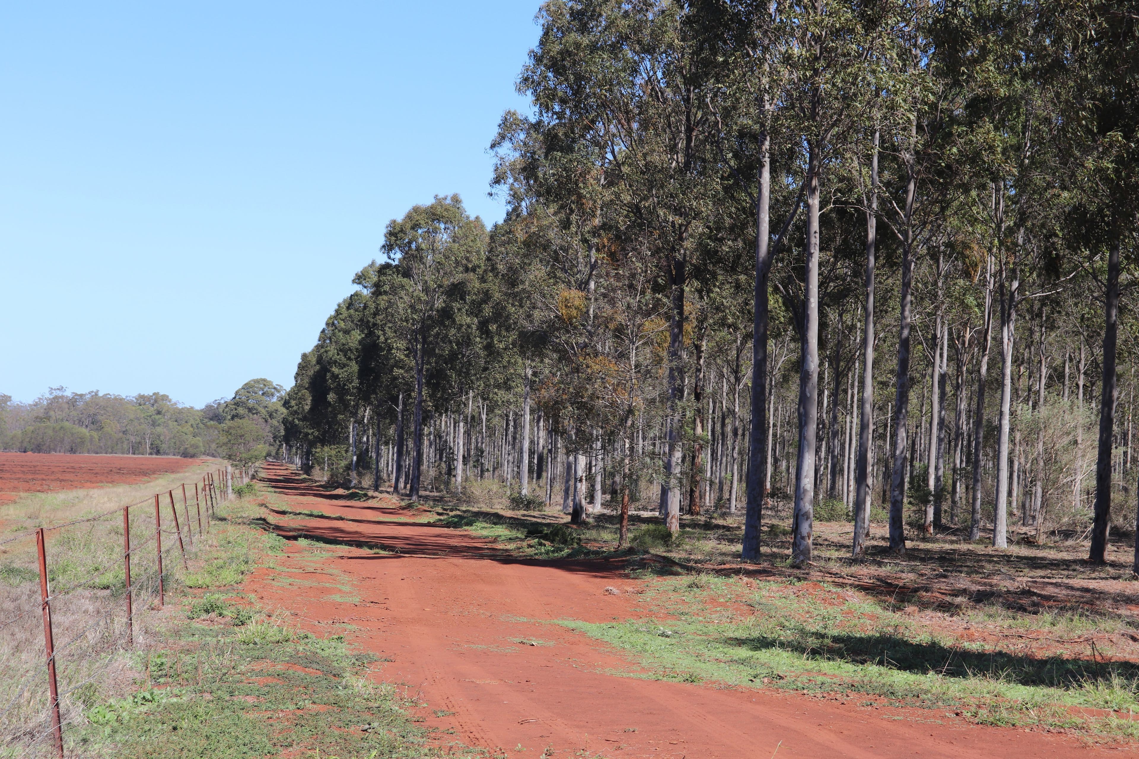 3 Offerings Top Gurgeena Road, Gurgeena QLD 4626, Gurgeena - Image 1