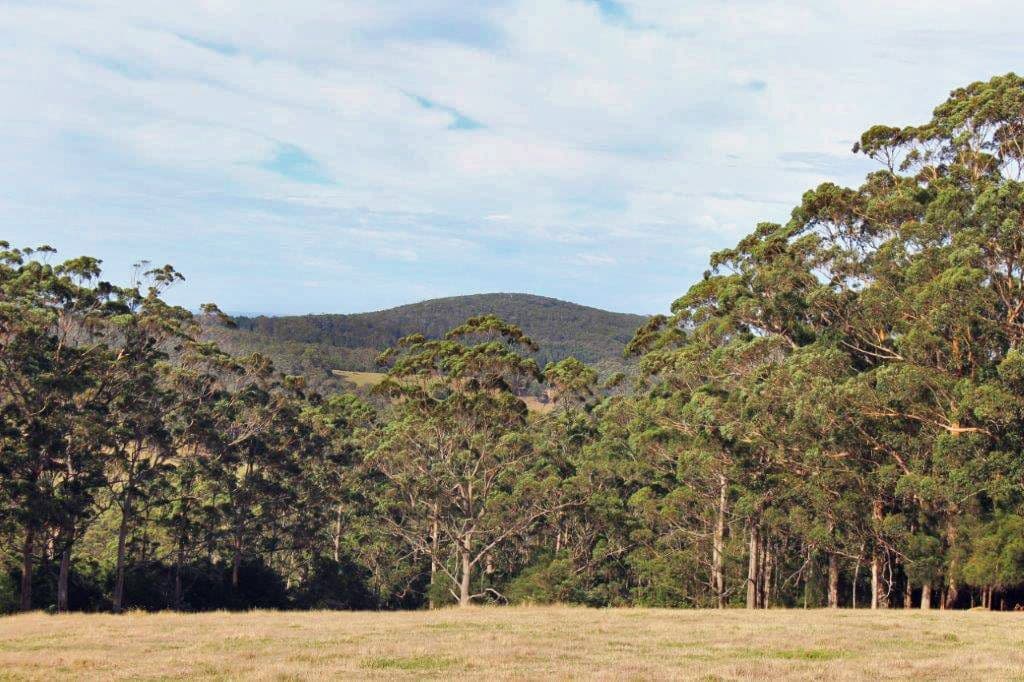 Lot 39 Middleton Close, Denmark WA 6333, Denmark - Thumbnail 4