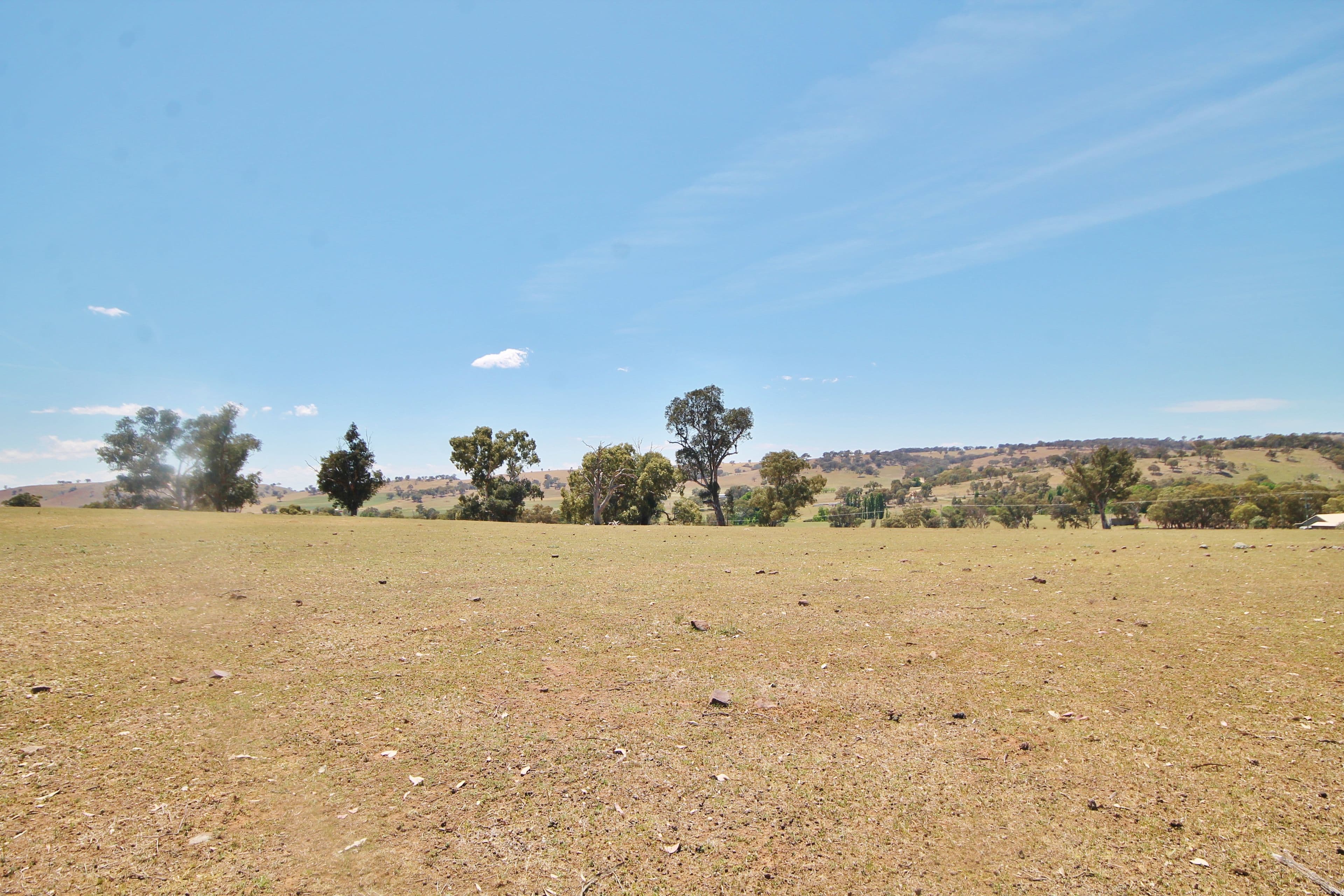 79 Dowling Drive Murringo via, Young NSW 2594, Young - Thumbnail 7
