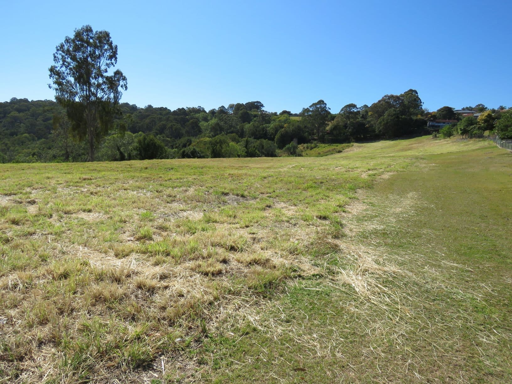 19 Highfield Terrace, Goonellabah NSW 2480, Goonellabah - Image 1