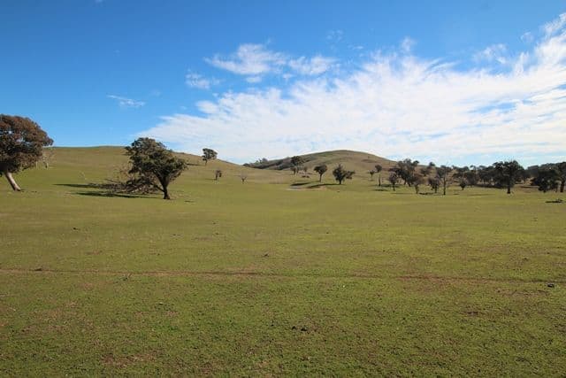 201 Gallymont Road, Mandurama NSW 2792, Mandurama - Thumbnail 5