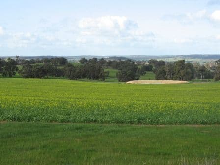 Pipeline Lot 2 Collie-Williams Road, West Williams, Williams WA 6391, Williams - Image 1
