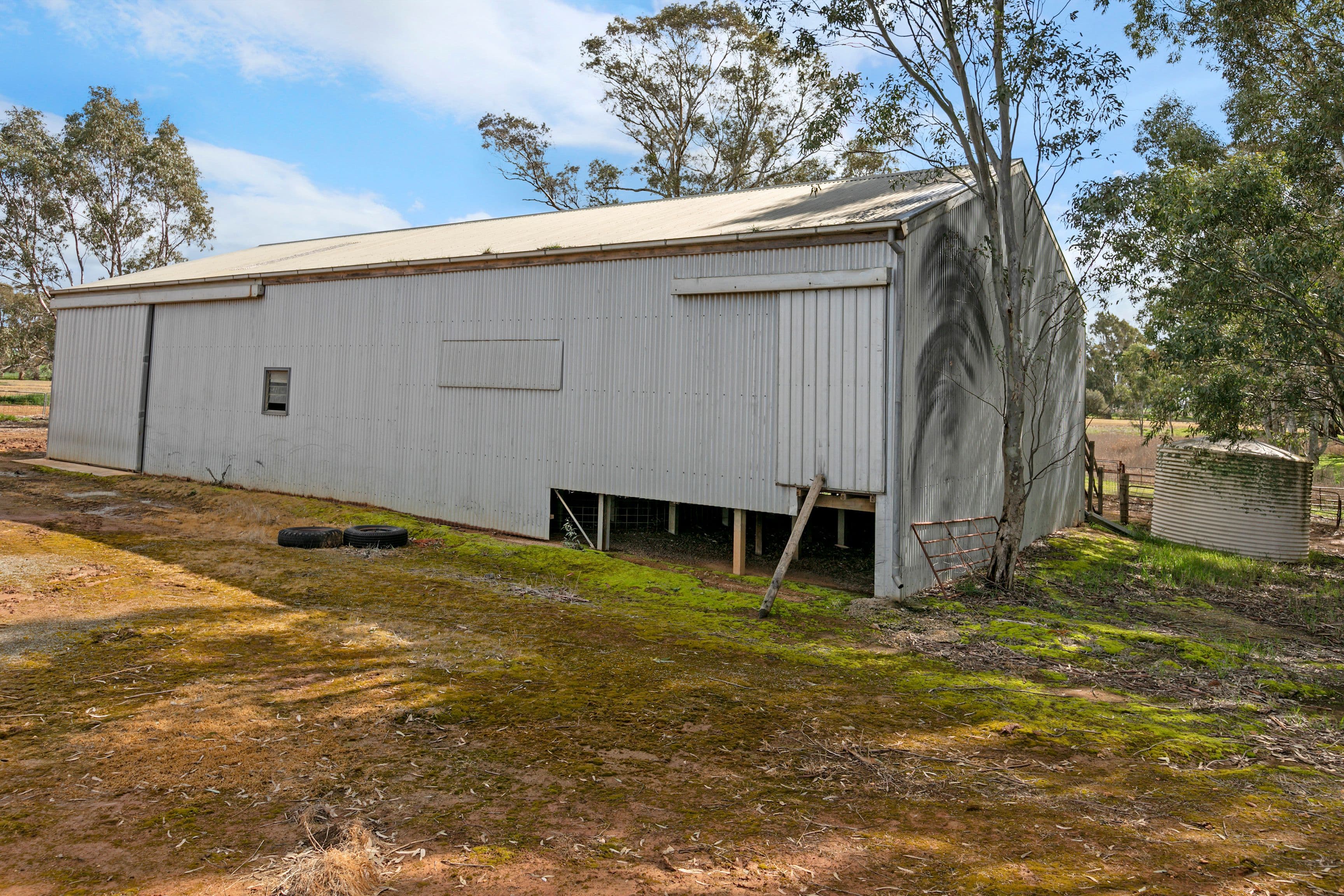 'Woodlands Brae' 390 Hilltown Road, Hill River SA 5453, Hill River - Thumbnail 6