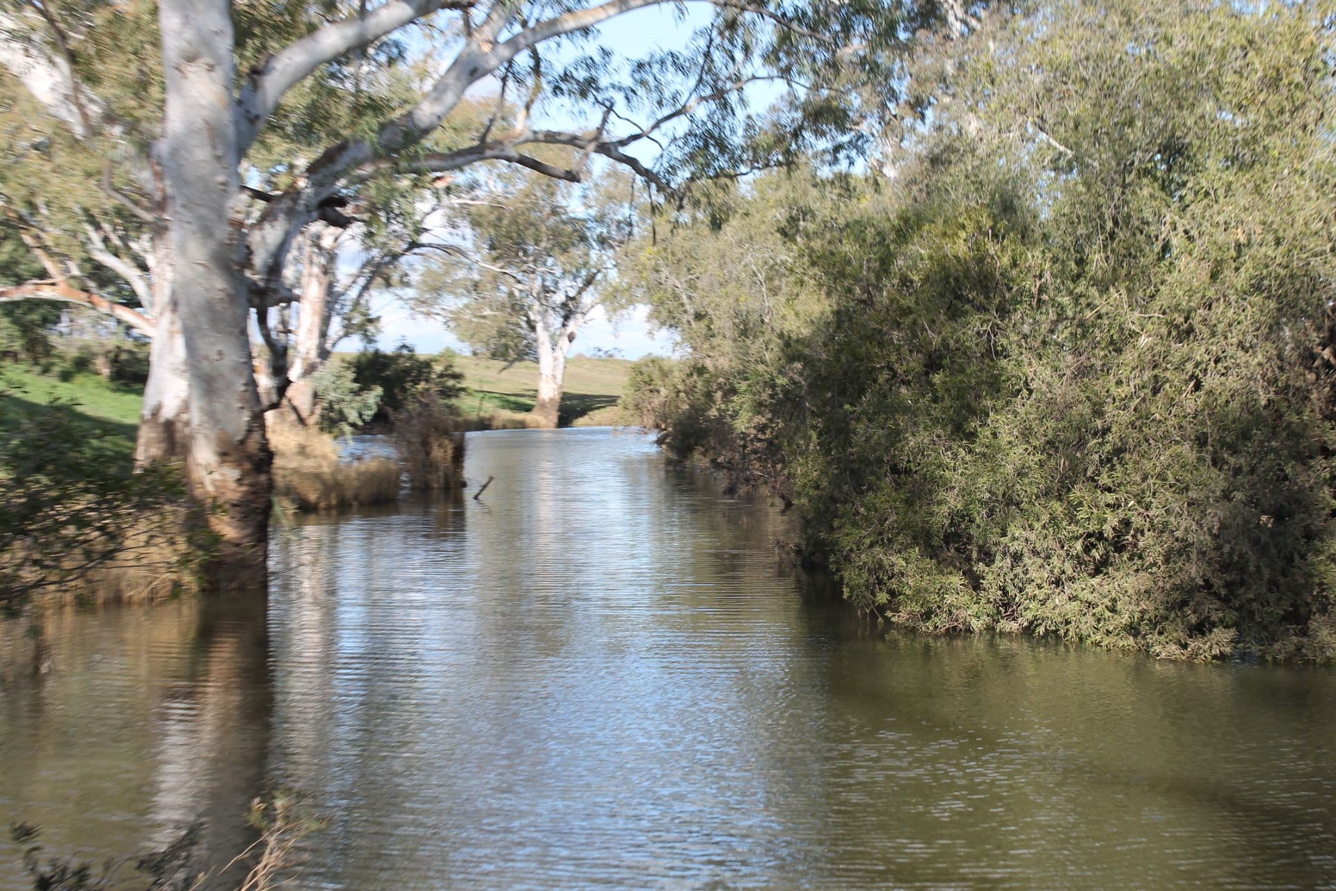174 Grants Road, Jondaryan QLD 4403, Jondaryan - Thumbnail 3