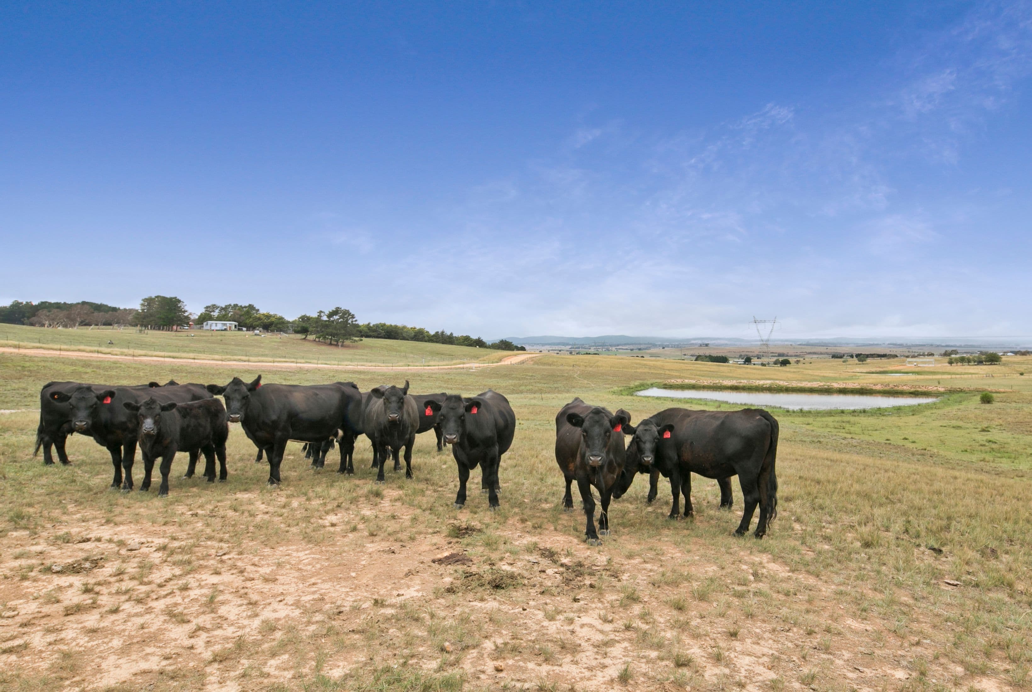 126 Corrinyah Road, Goulburn NSW 2580, Goulburn - Thumbnail 4