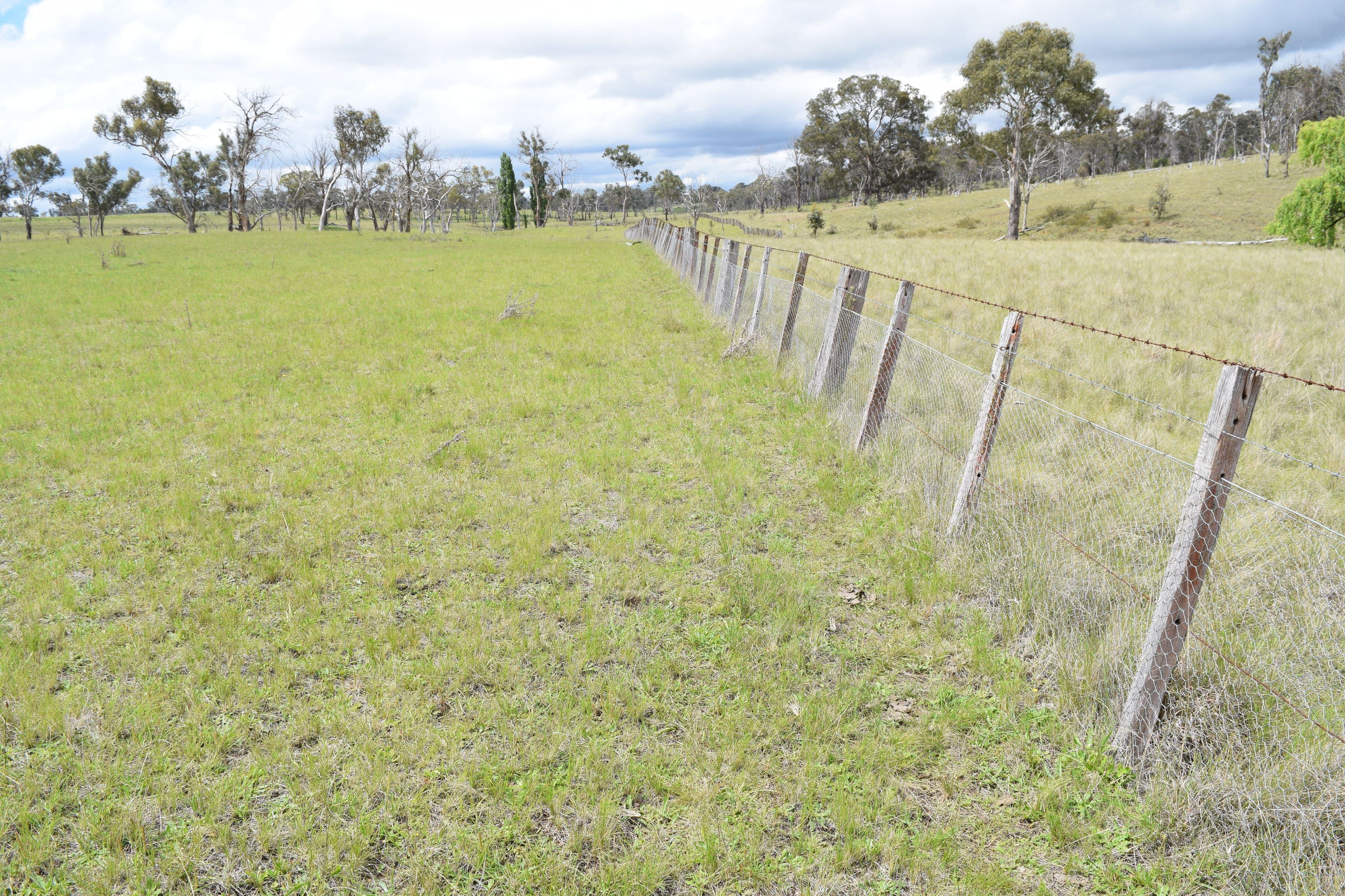 460 Donald Road, Armidale NSW 2350, Armidale - Thumbnail 7