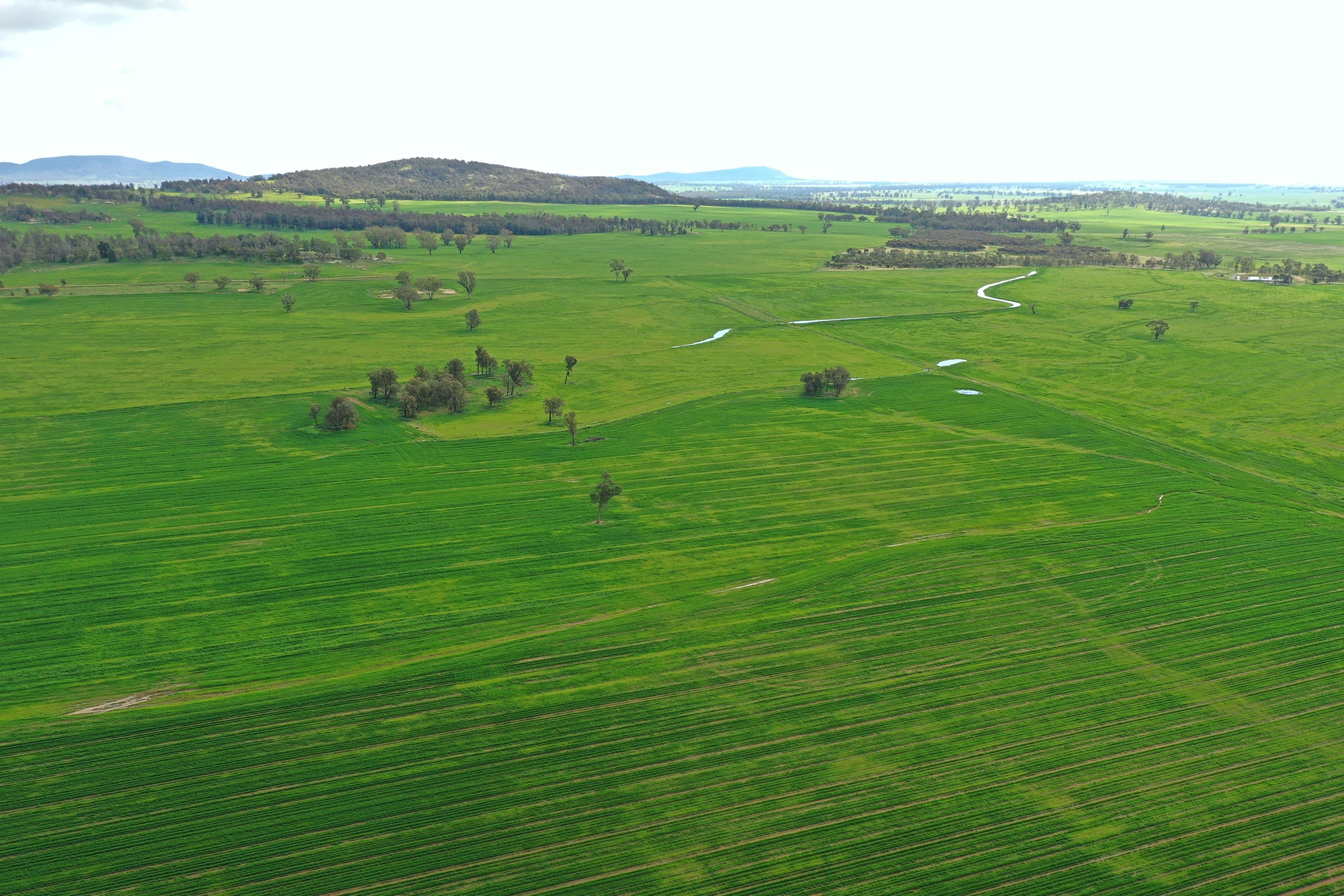 Grenfell NSW 2810, Grenfell - Thumbnail 5
