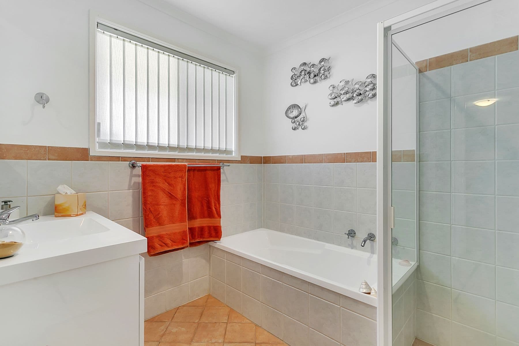 10 Timothy Court, Mitchell Park SA 5043, Mitchell Park - Thumbnail 8
