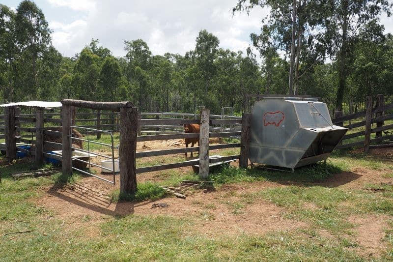 4275 Maryborough Biggenden Road, Aramara QLD 4620, Aramara - Thumbnail 6