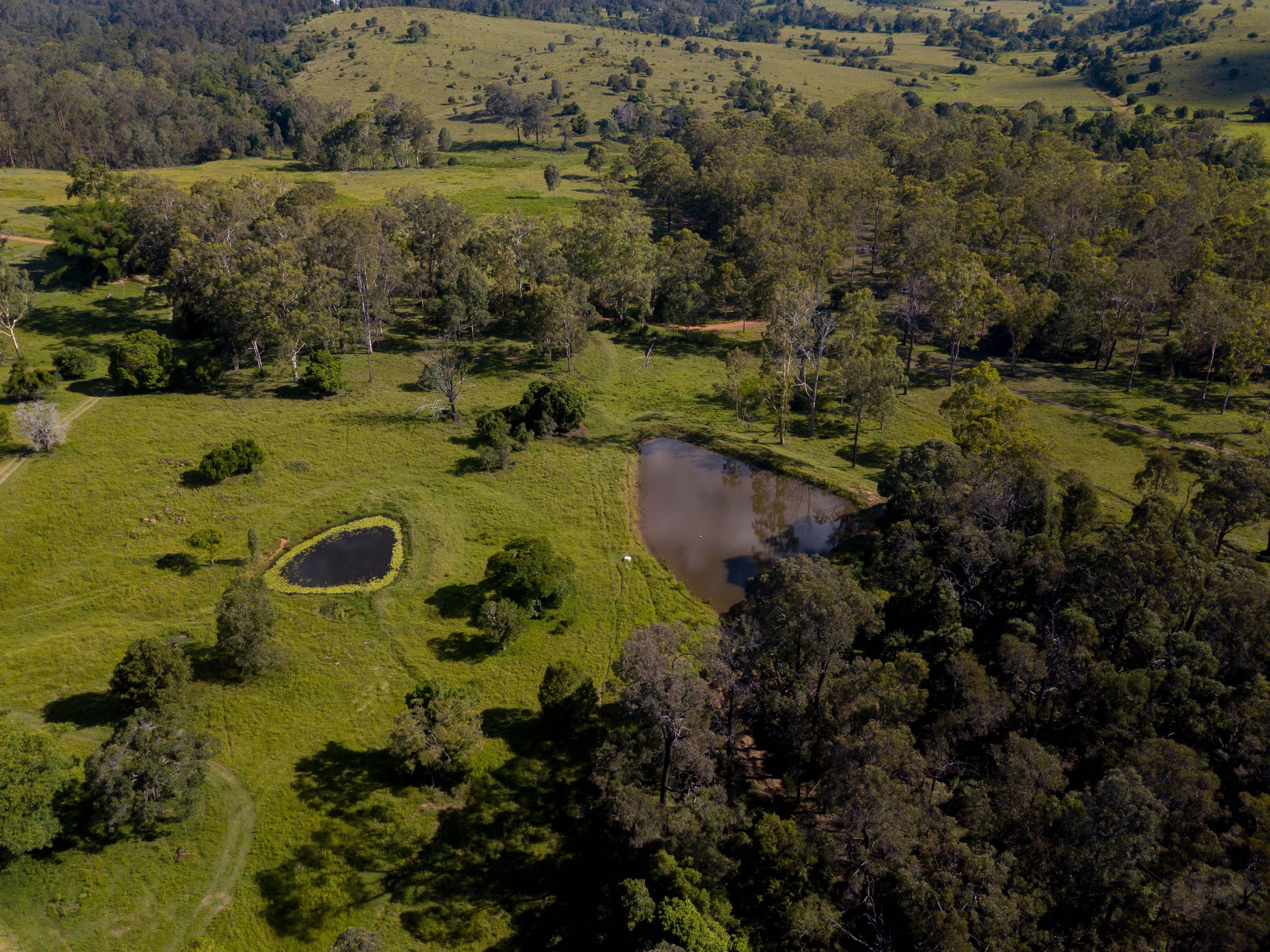 189 Zingelmann Road, Milbong QLD 4310, Milbong - Thumbnail 6