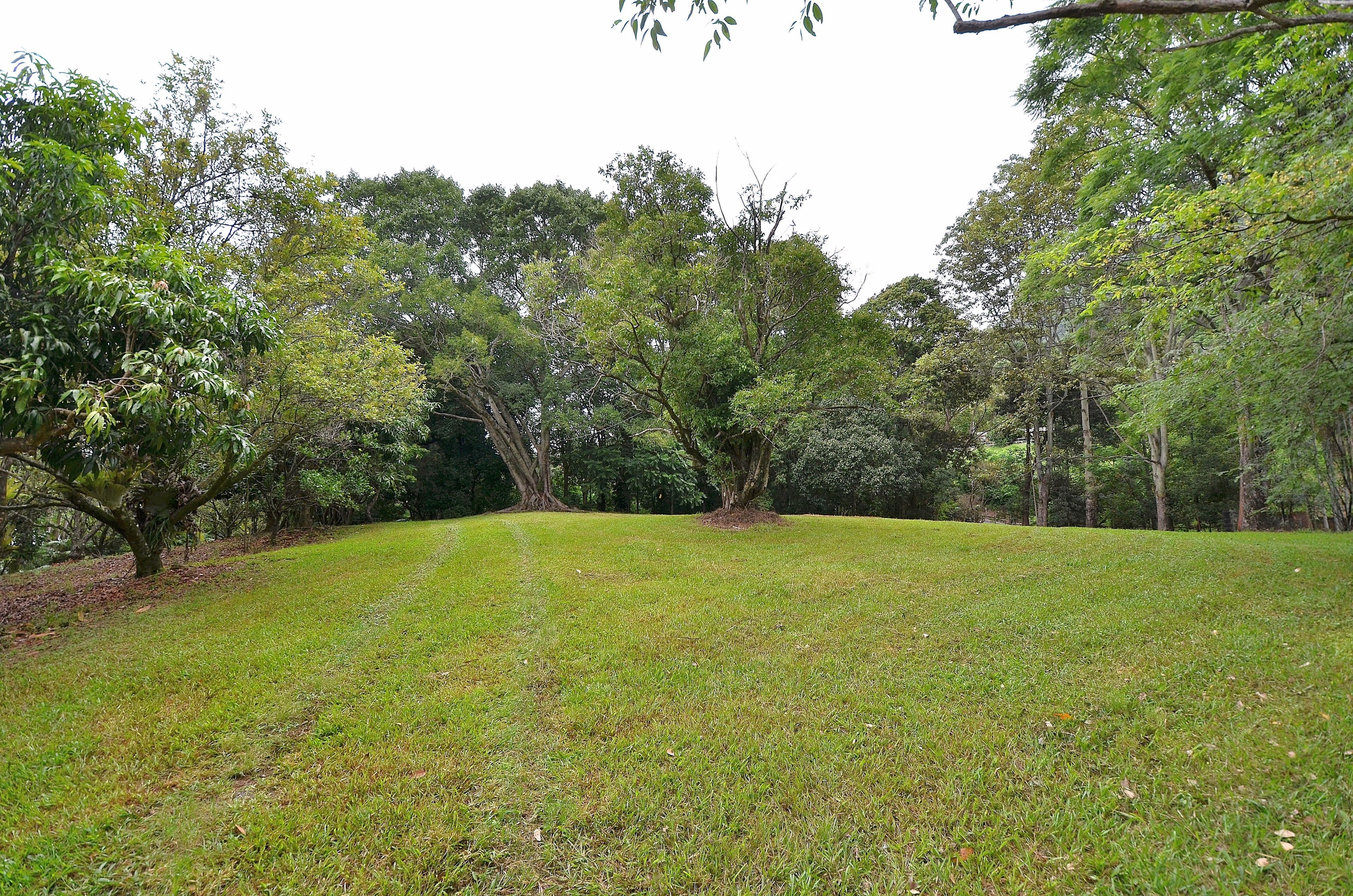 69 Estelle Road, Currumbin Valley QLD 4223, Currumbin Valley - Image 1