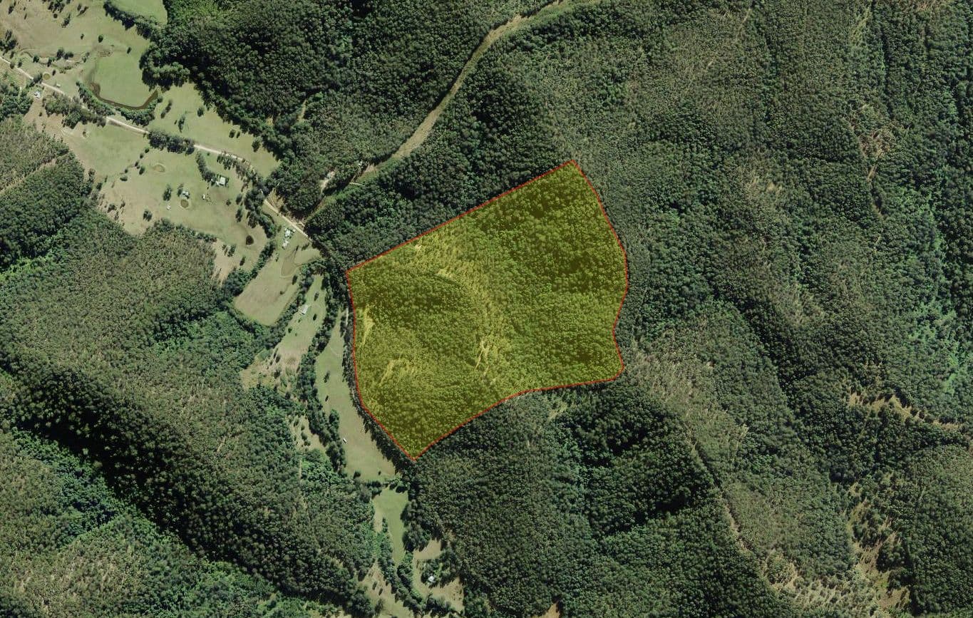 Lot 51 Upper Myall Road, Upper Myall NSW 2423, Upper Myall - Thumbnail 5