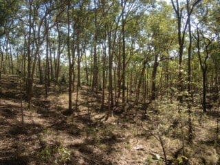 187 McKey Road, Crossdale QLD 4312, Crossdale - Thumbnail 2
