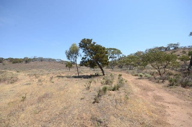 "Kerns" Black Peak Road, WORLDS END SA 5381, Worlds End - Thumbnail 3