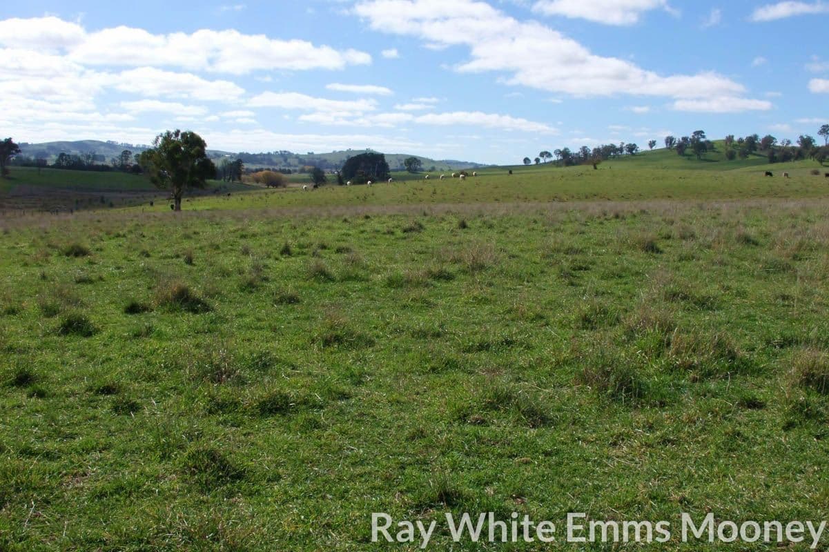 Blayney NSW 2799, Blayney - Thumbnail 2