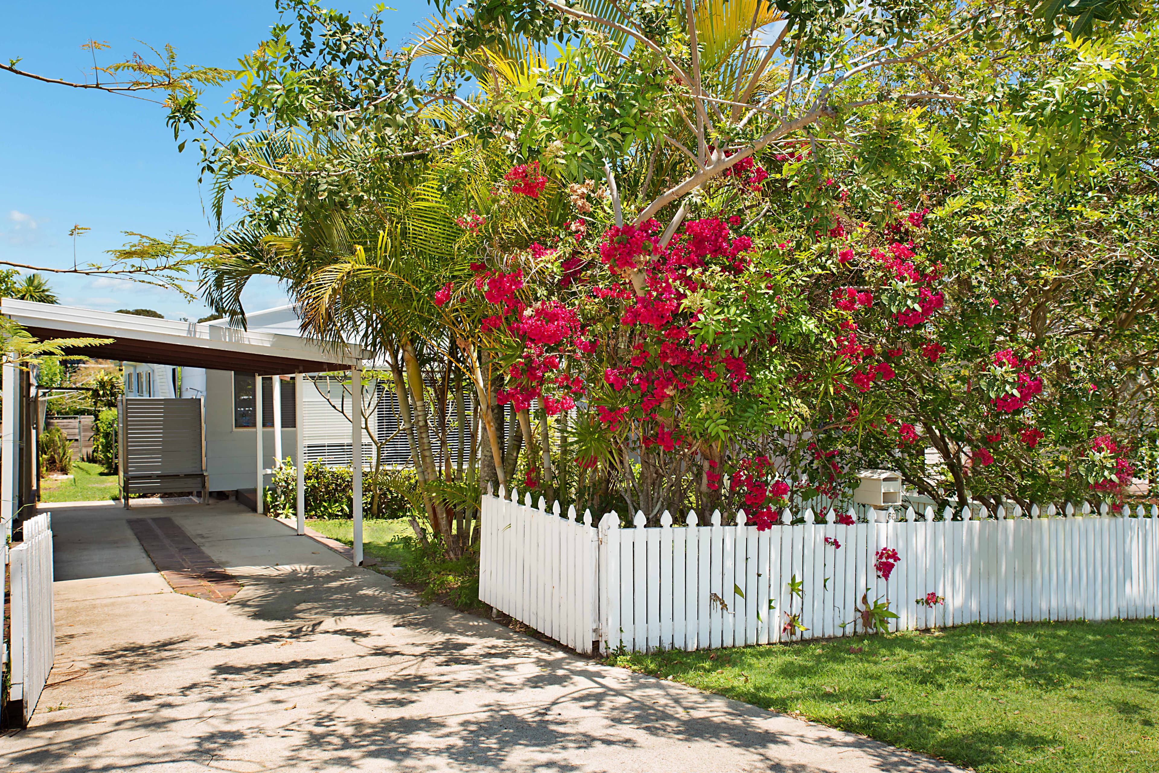 66 Cooroora Street, Dicky Beach QLD 4551, Dicky Beach - Thumbnail 4