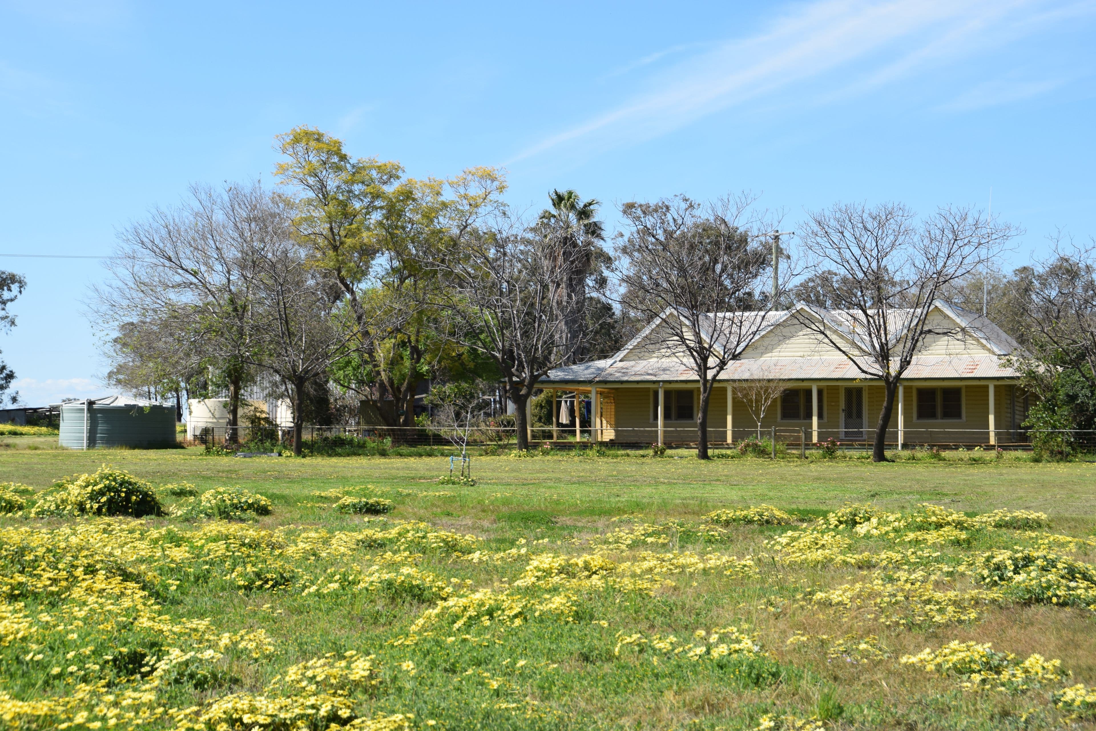 'Windeena' 802 Milpulling Road, Gilgandra NSW 2827, Gilgandra - Thumbnail 8