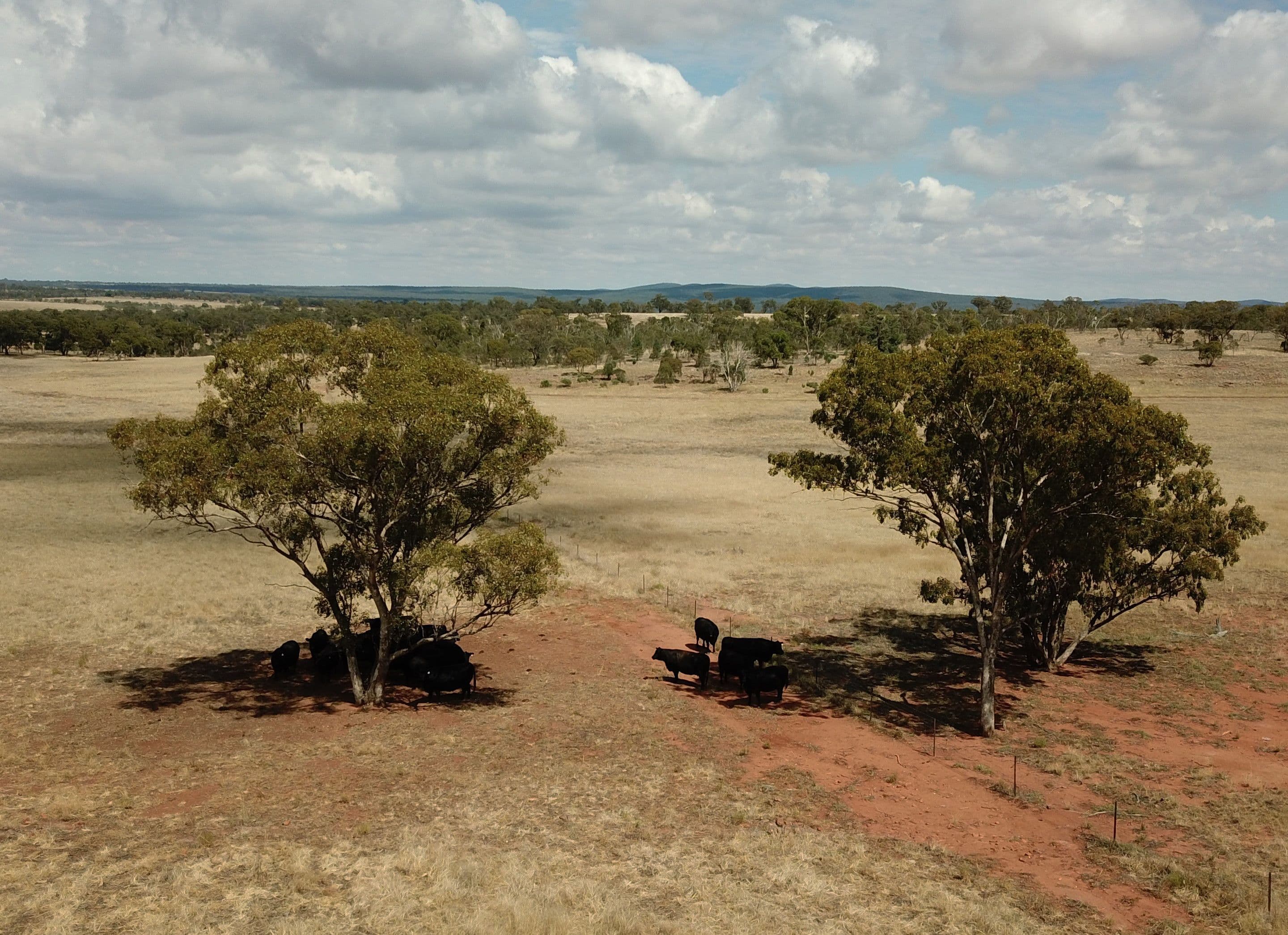 918 The Springs Road, Rankins Springs NSW 2669, Rankins Springs - Thumbnail 4