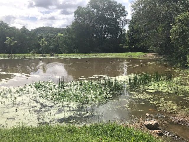63 Blacks Road, Willow Vale QLD 4209, Willow Vale - Thumbnail 6