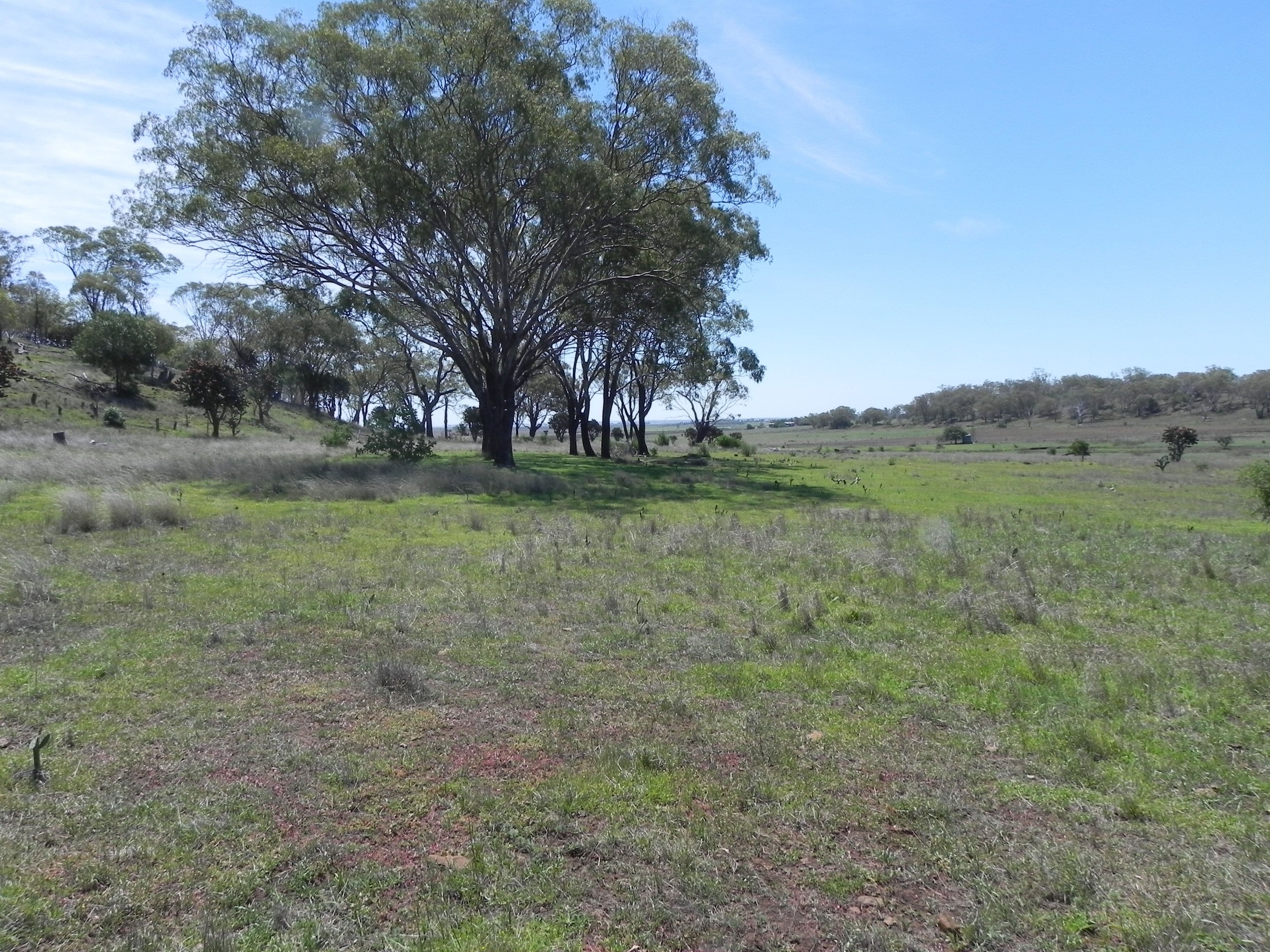 0 F Drews Road, Biddeston QLD 4401, Biddeston - Thumbnail 7