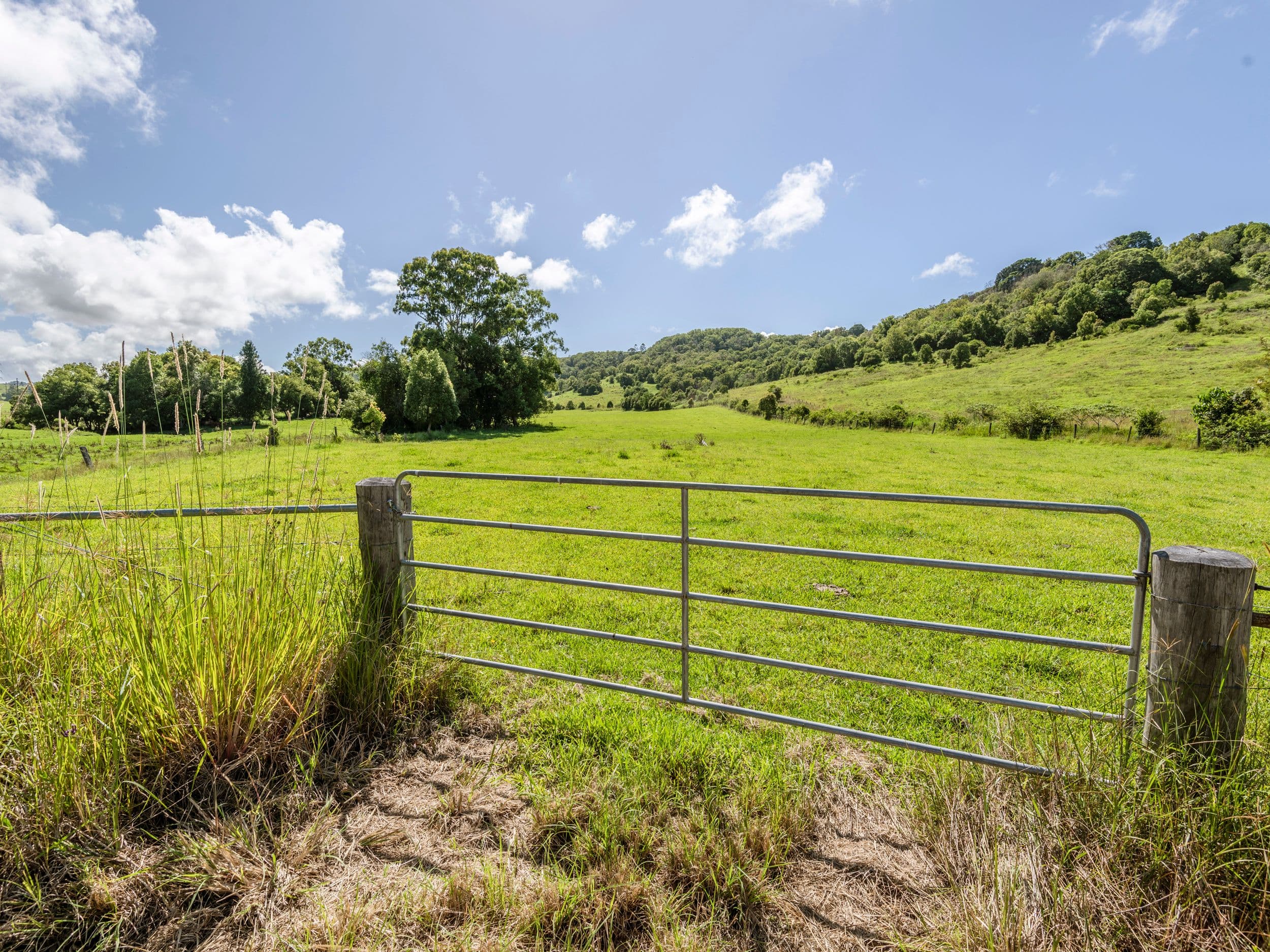 Lot 106 Hewitt Road, Booerie Creek NSW 2480, Booerie Creek - Image 1