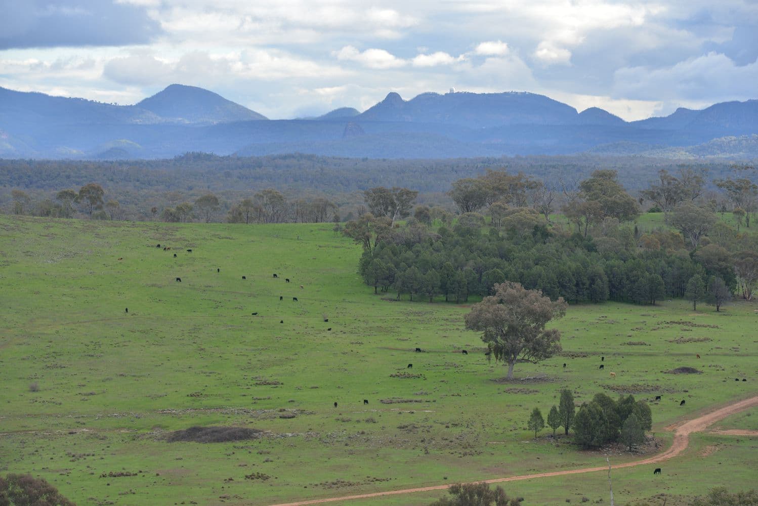' WATAVIEW', Coonabarabran NSW 2357, Coonabarabran - Thumbnail 2