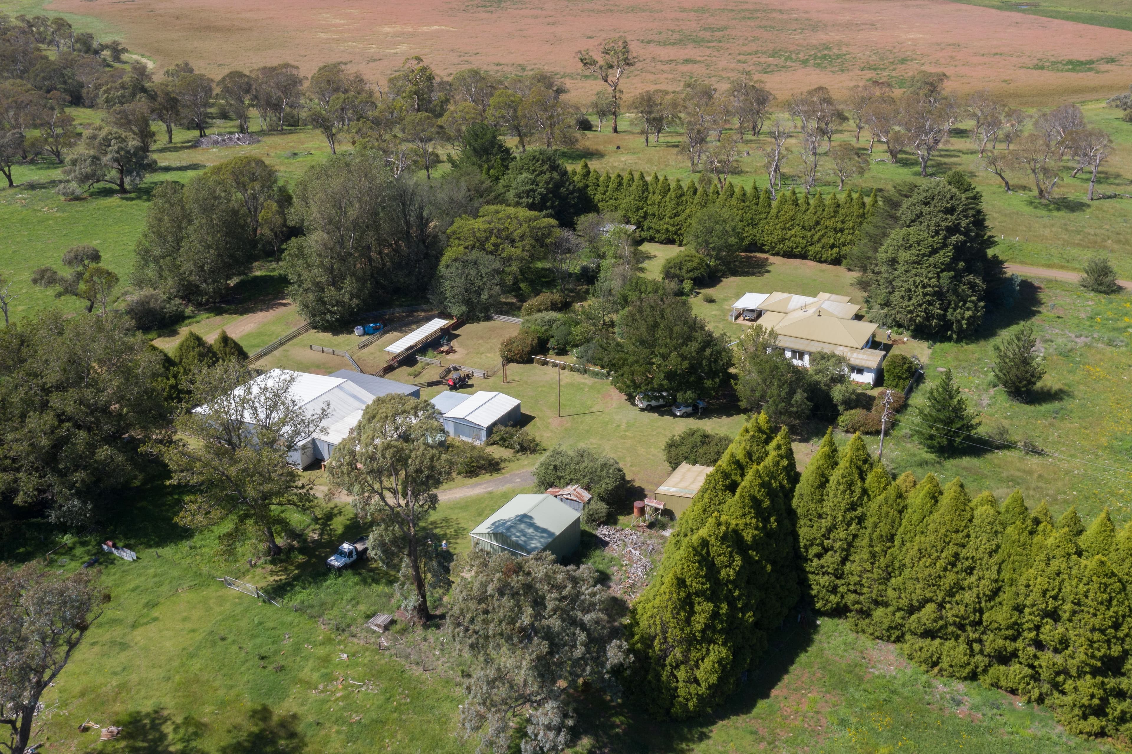 441 Streeters Road, Ben Lomond NSW 2365, Ben Lomond - Thumbnail 4