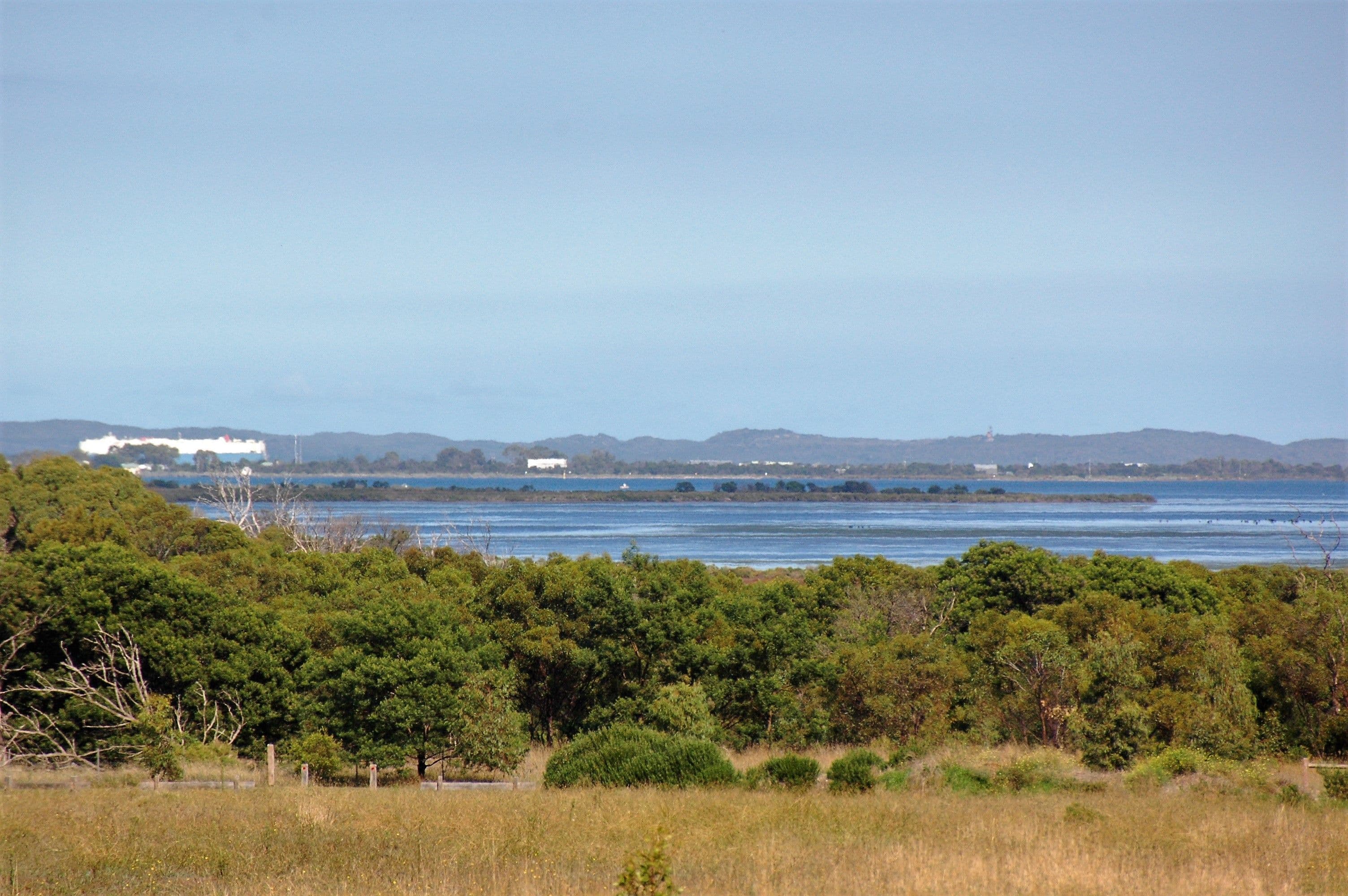 Lot 33 Pardolote Crescent, St Leonards VIC 3223, St Leonards - Thumbnail 7