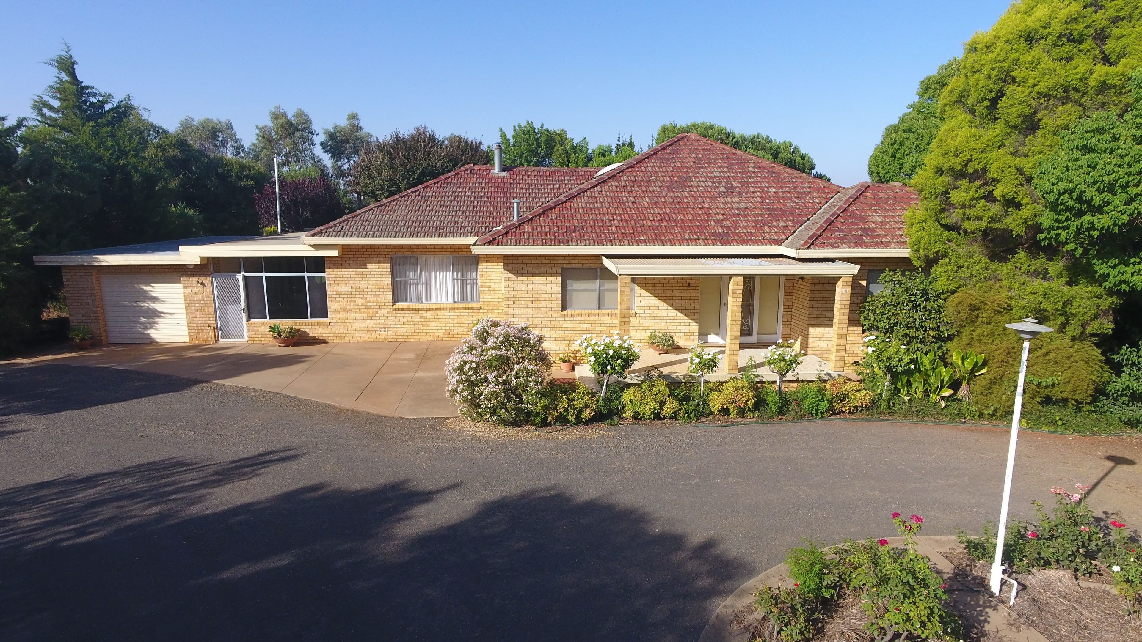 891 Watkins Avenue, Griffith NSW 2680, Griffith - Thumbnail 5