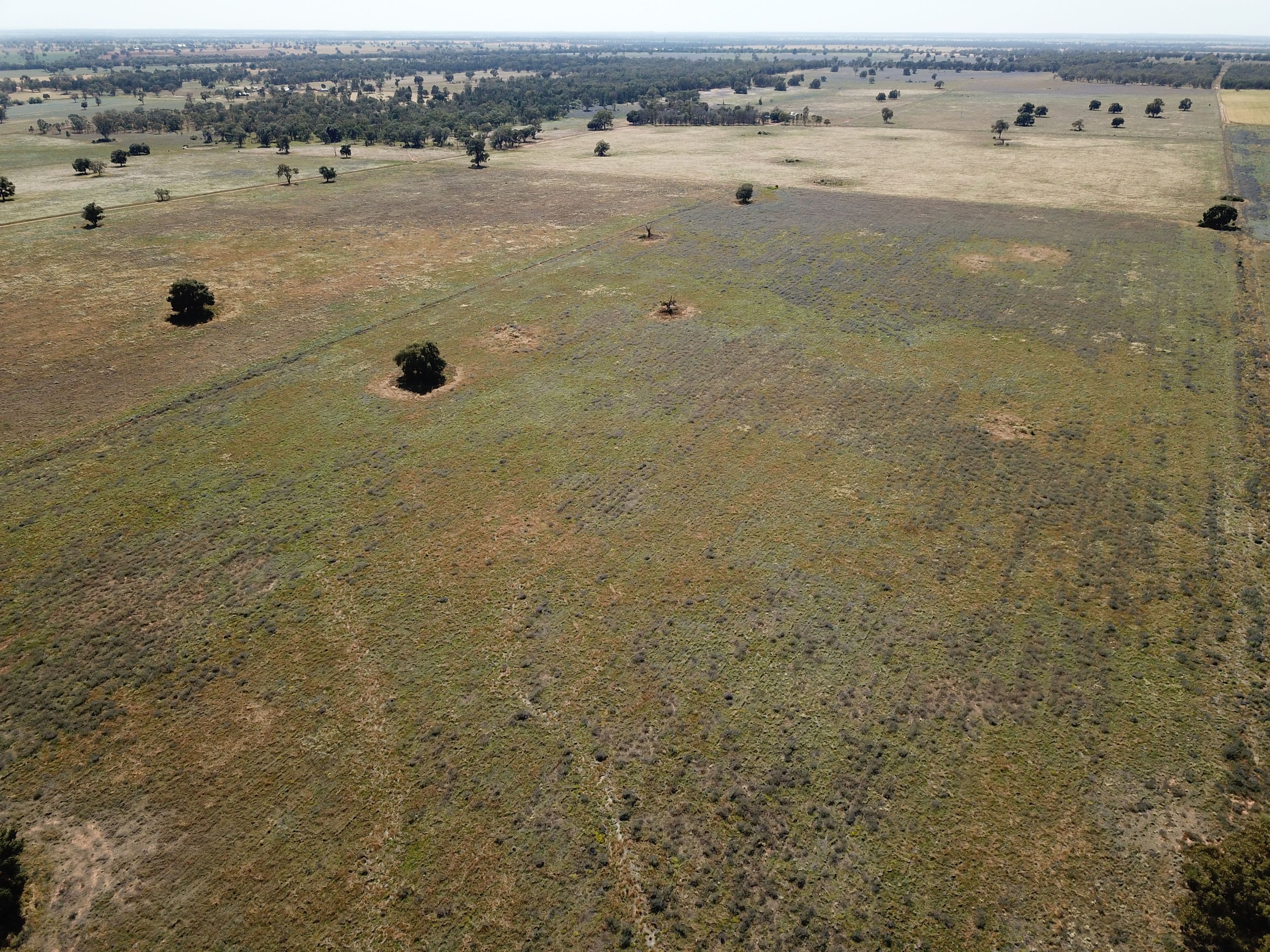 'Waratah' 176 Lincoln Lane, Narromine NSW 2821, Narromine - Thumbnail 3