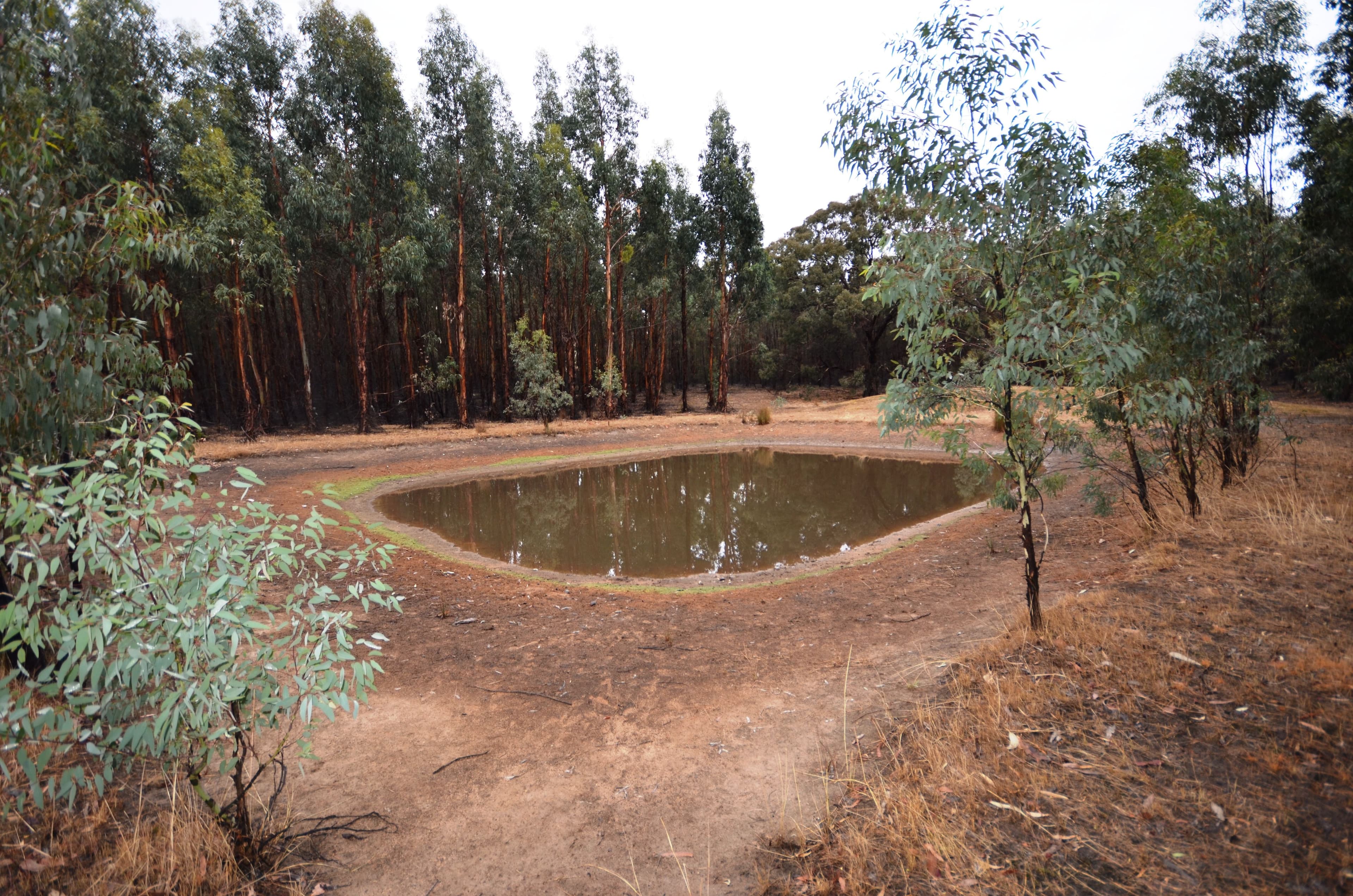 "Cain" Western Highway, BUANGOR VIC 3375, Buangor - Thumbnail 8
