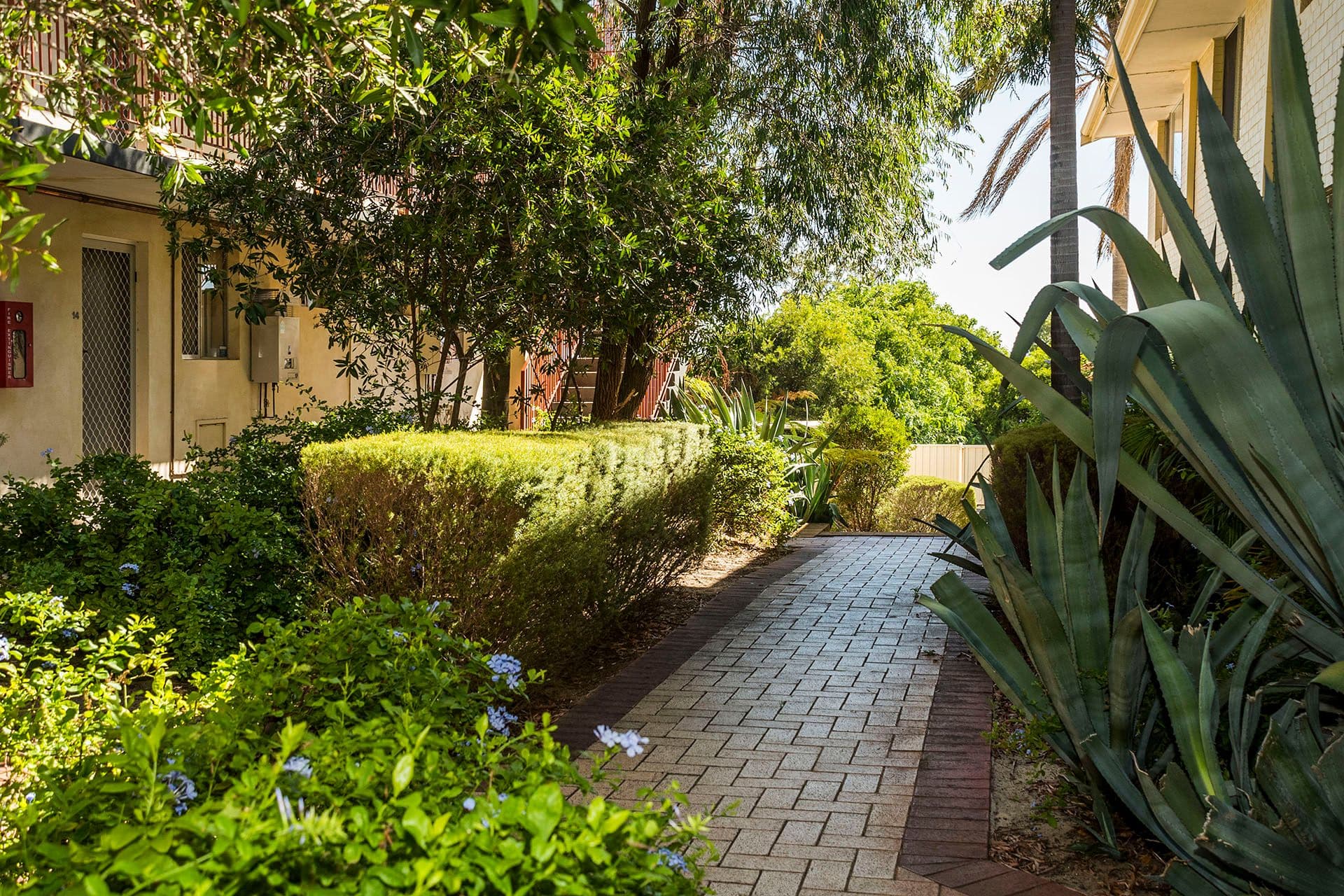 2/72 First Avenue, Mount Lawley WA 6050, Mount Lawley - Thumbnail 3